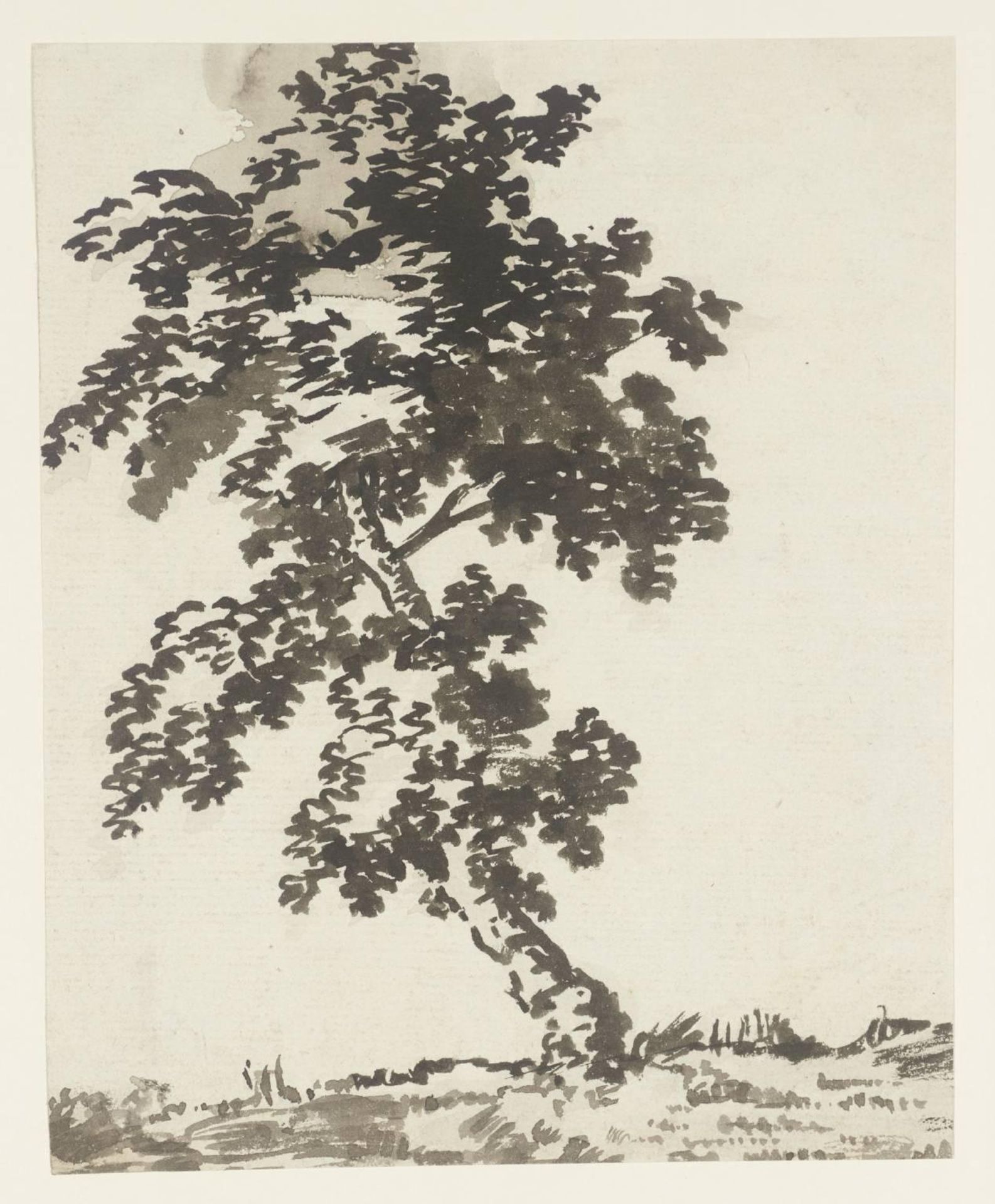 A Tree by Alexander Cozens