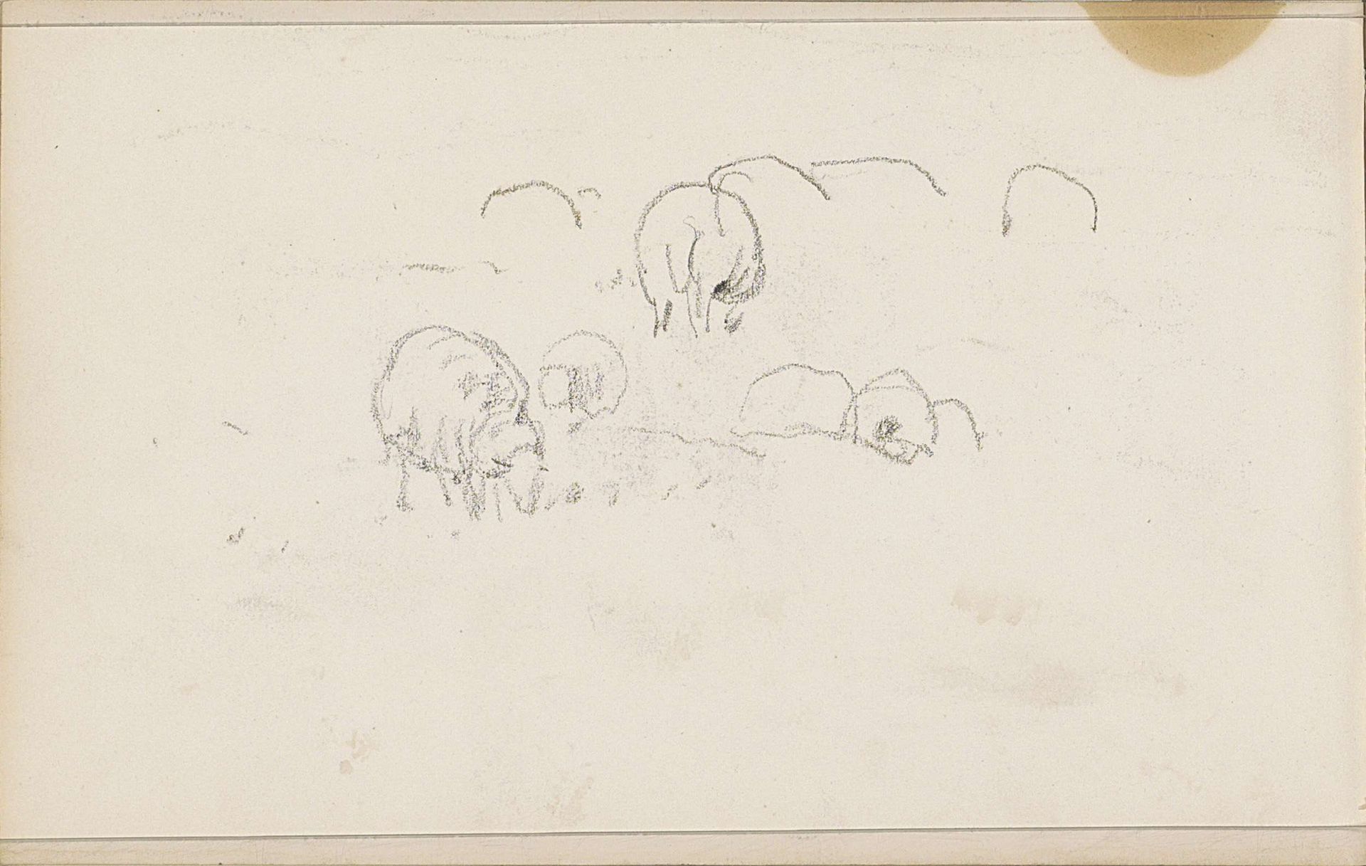 Schapen by Anton Mauve