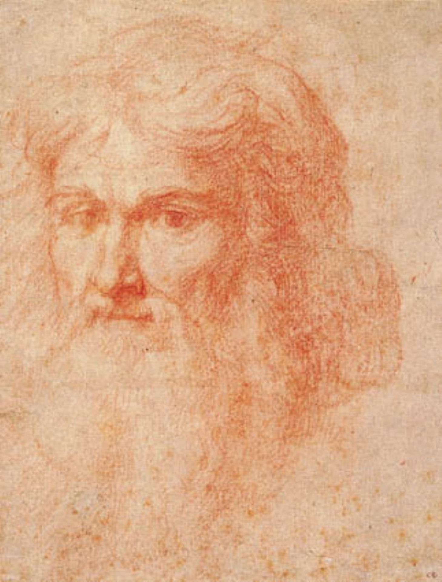 Head of a man with a long beard by Ottavio Vannini