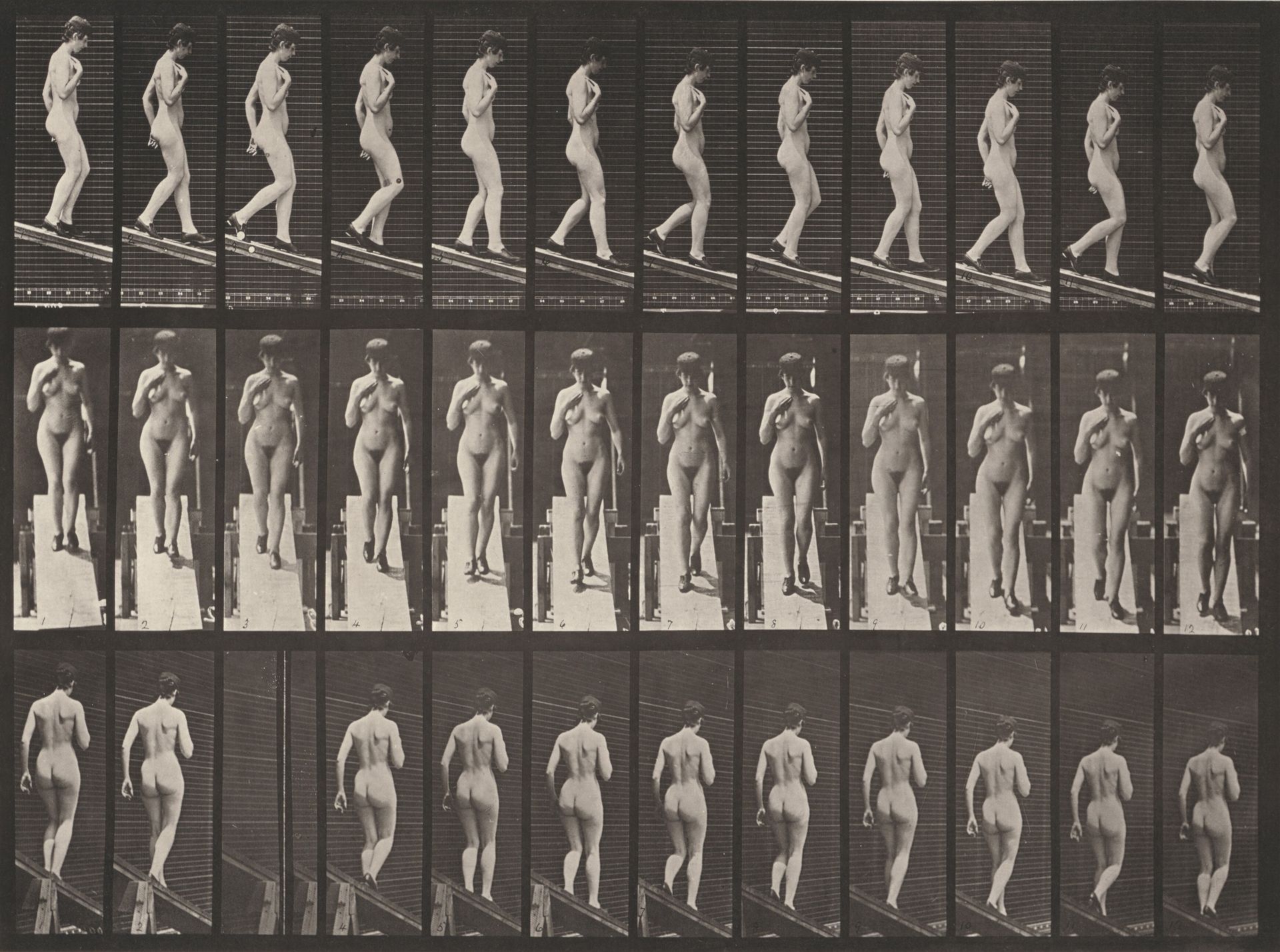 Plate Number 119. Descending an incline with right hand on breast by Eadweard Muybridge