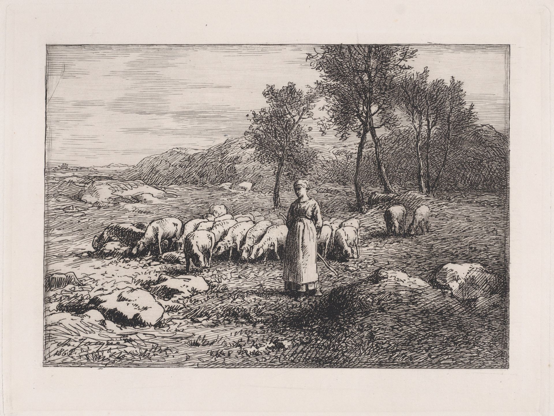 Troupeau de Porcs by Charles Jacque