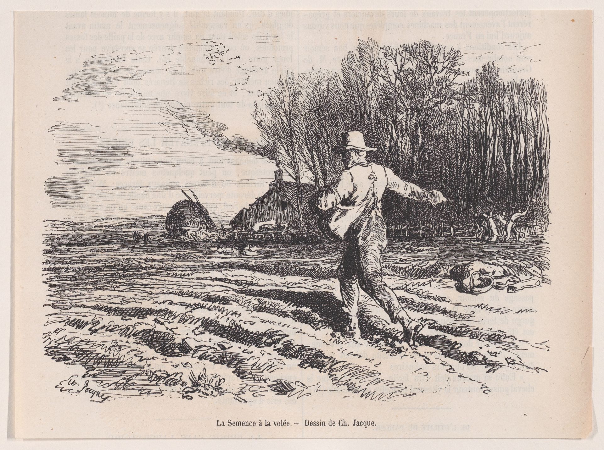Scattering Seed, from "Le Magasin Pittoresque" by Charles Jacque