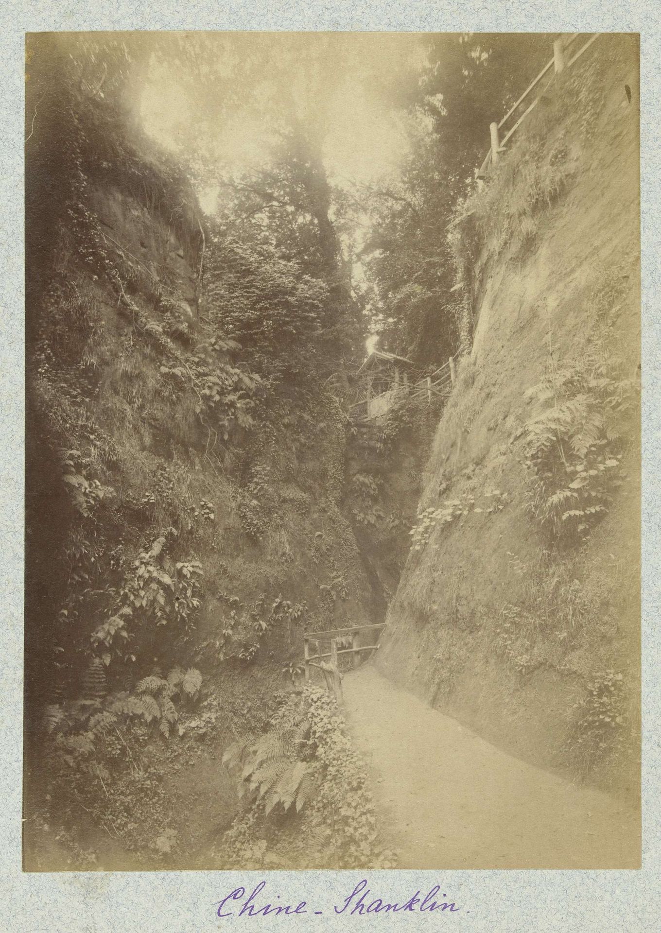 Gezicht op de Shanklin Chine by Henry Pauw van Wieldrecht