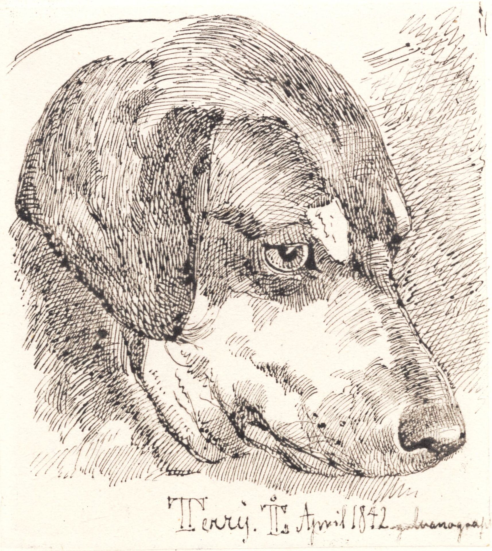 Hundehoved, Terry by Johan Thomas Lundbye
