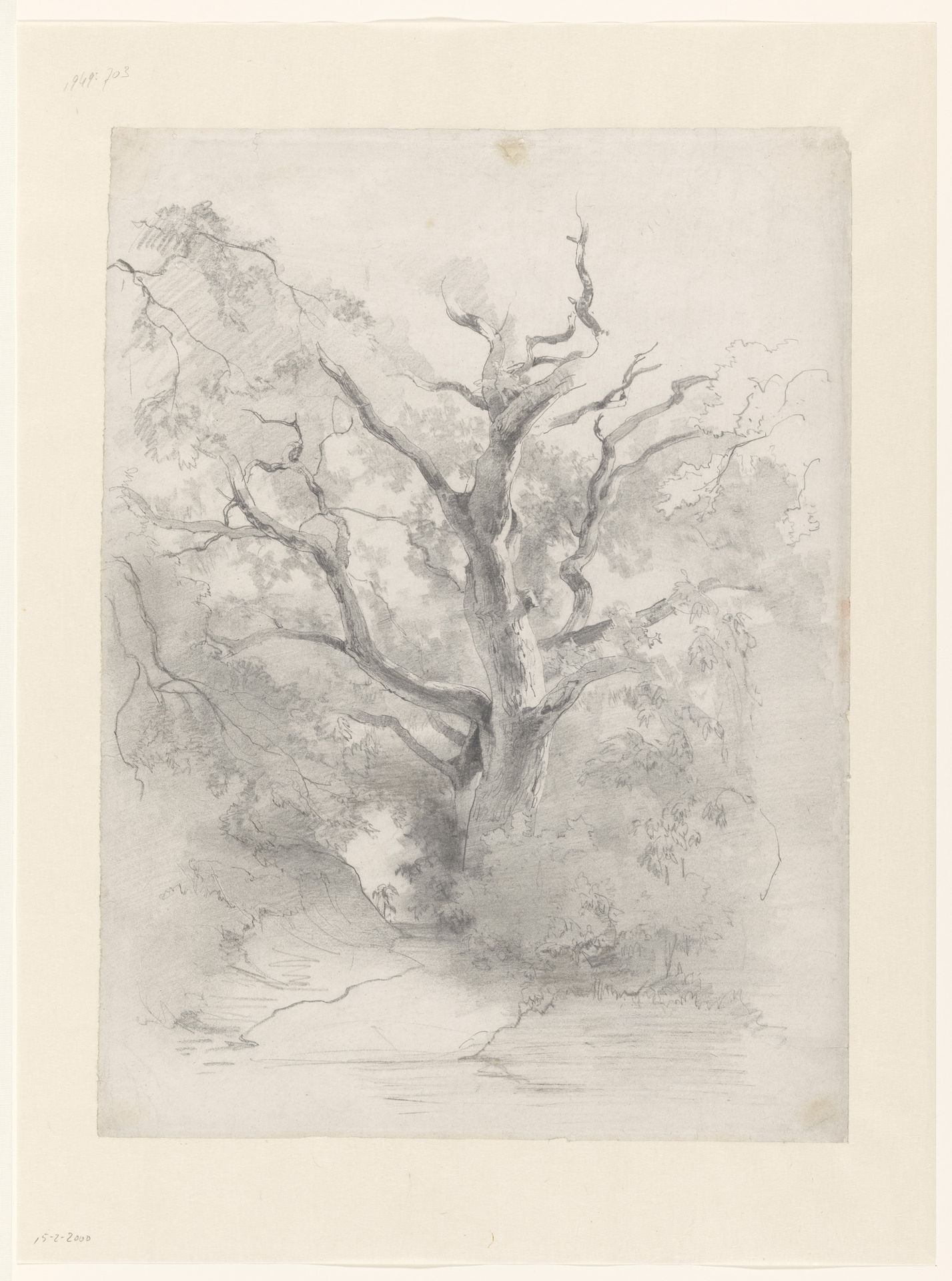 Boomstudie, van een oude eik in een bos by Karel Elias van Toulon