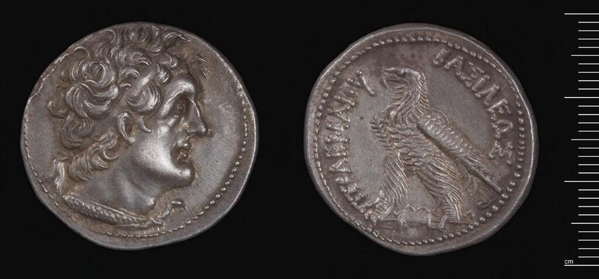 Tetradrachm of Ptolemy VI by Ptolemy VI Philometor