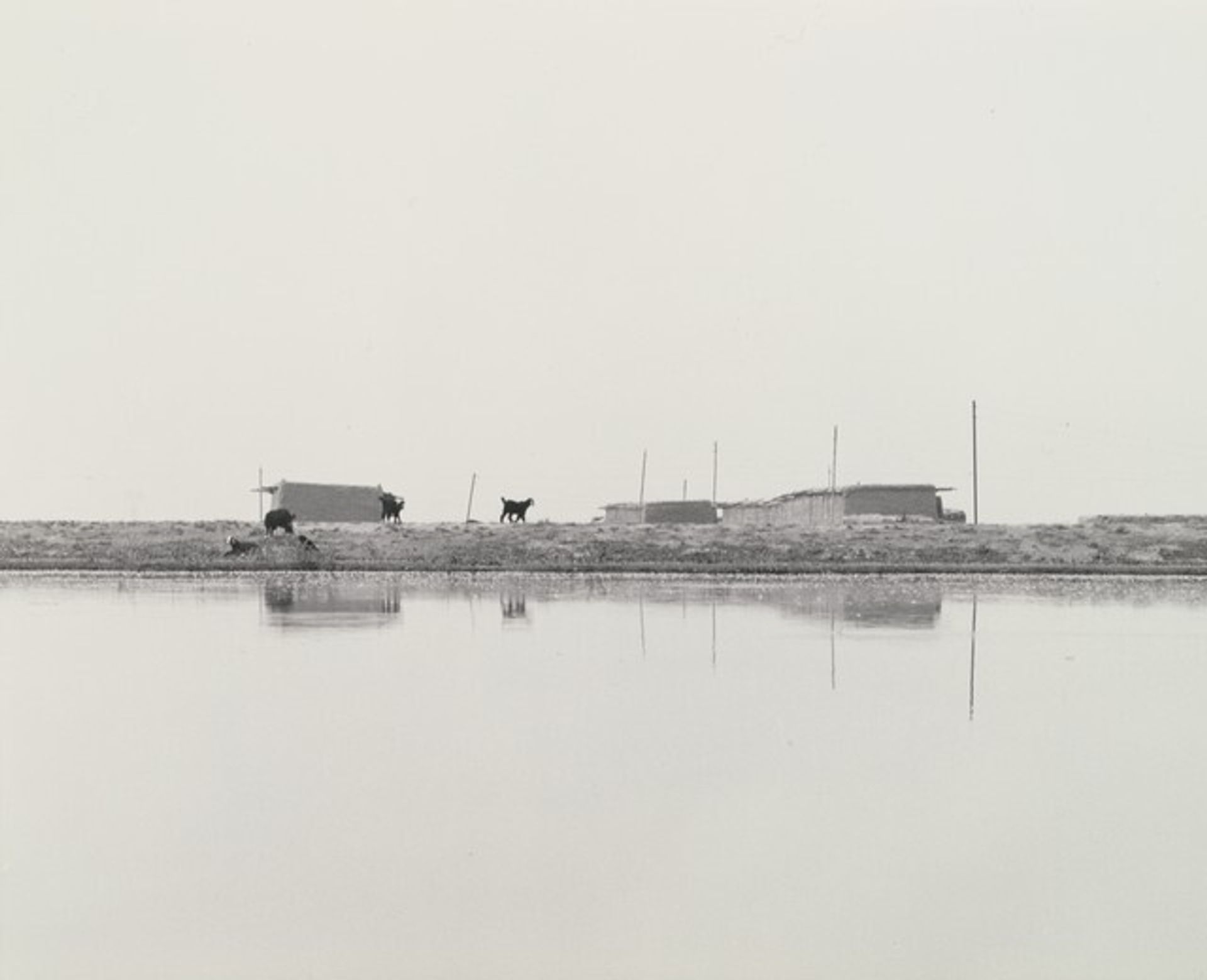 Untitled by Ursula Schulz-Dornburg