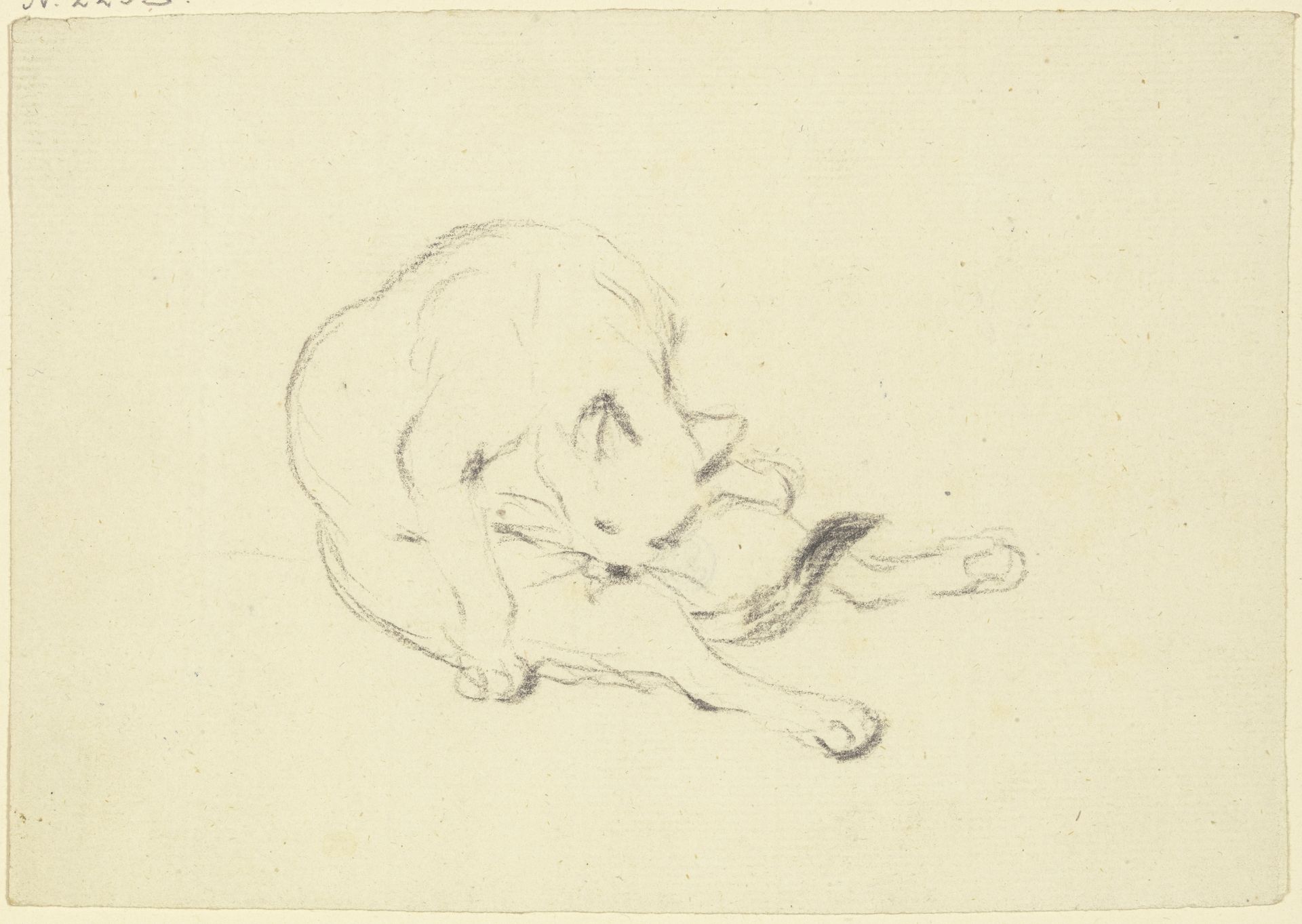 Grooming cat by Friedrich Wilhelm Hirt