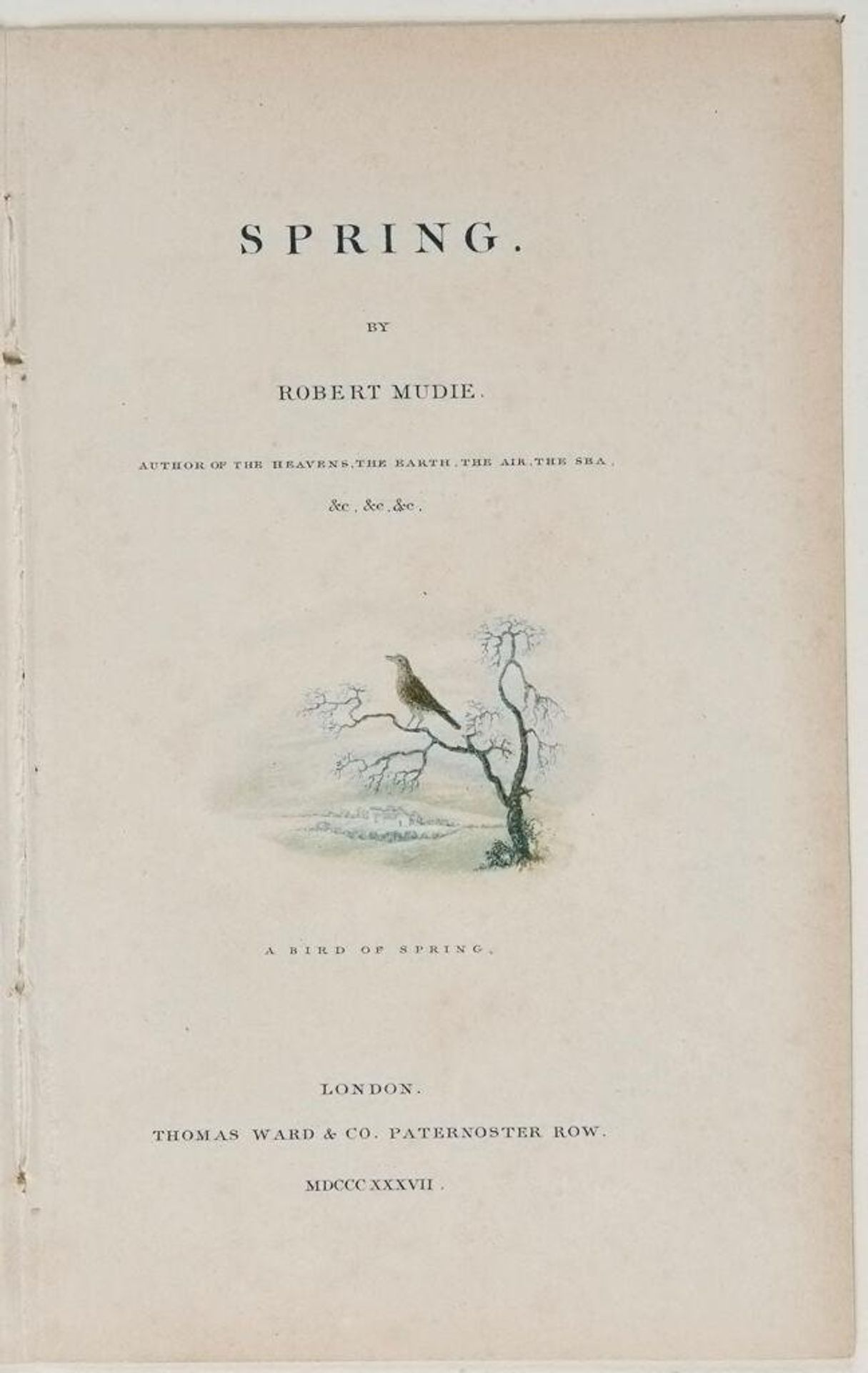 A Bird of Spring by George Baxter