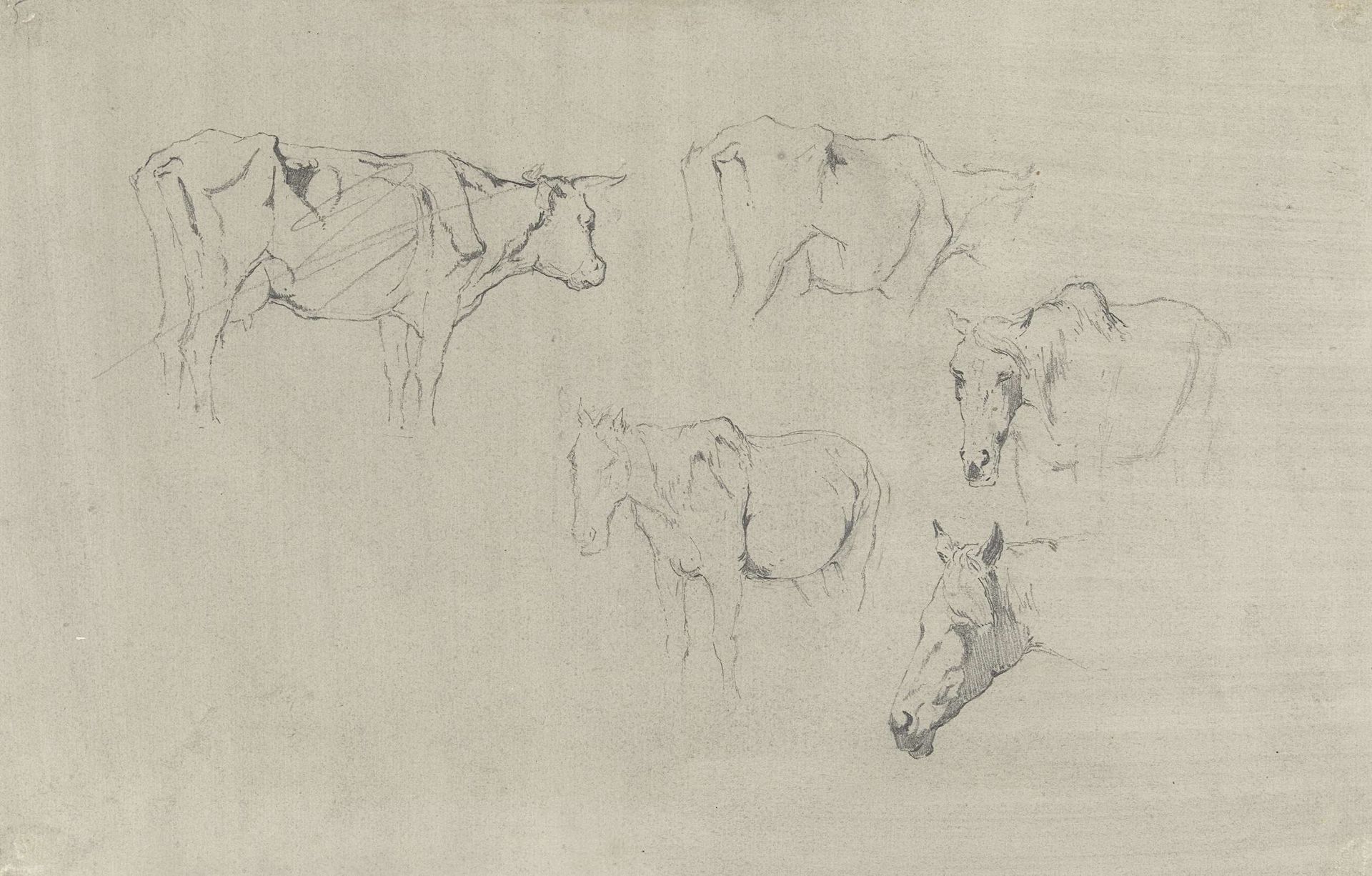 Twee studies van een koe en drie van een paard by Gerard Bilders