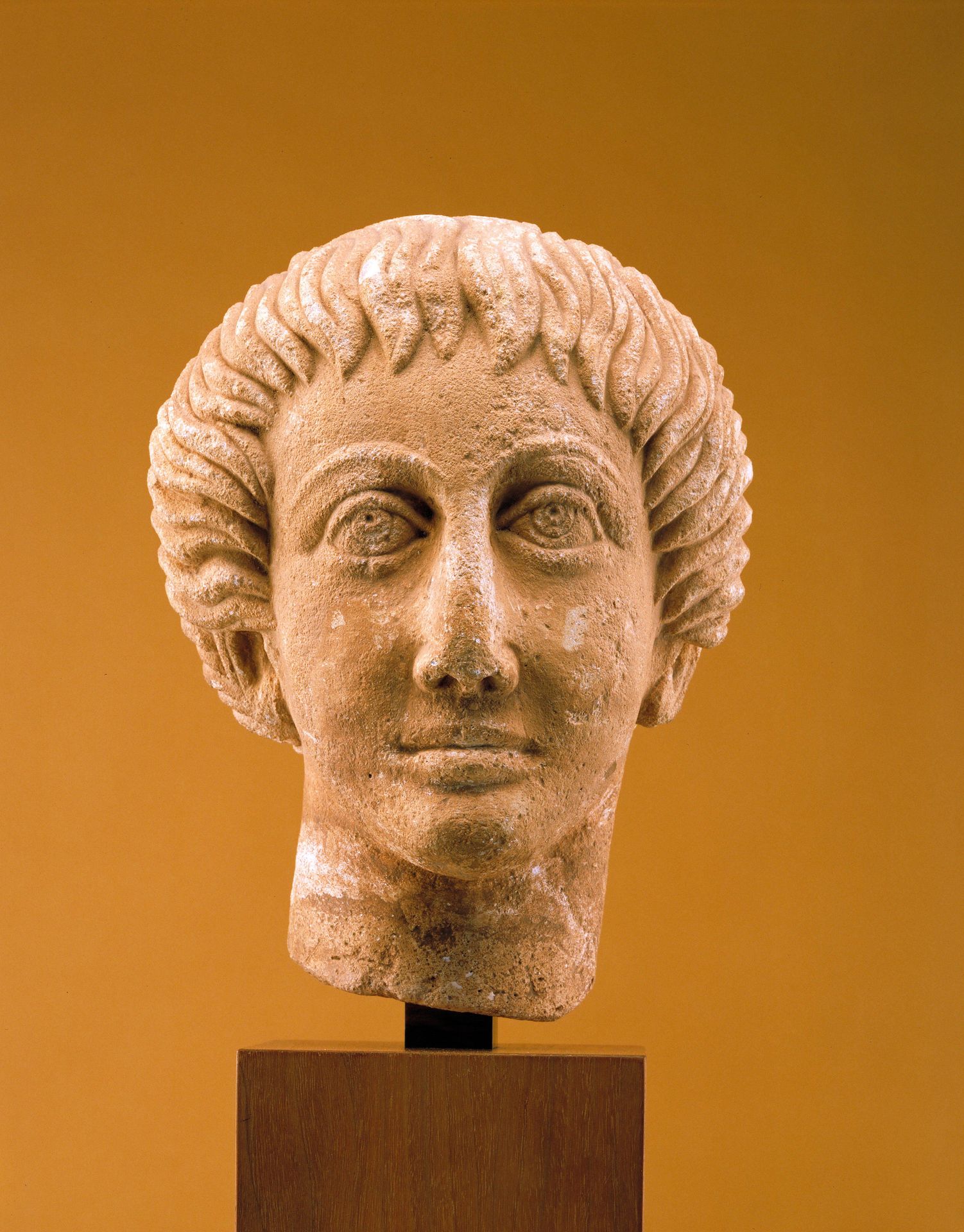 Head of a Young Man by Anonymous