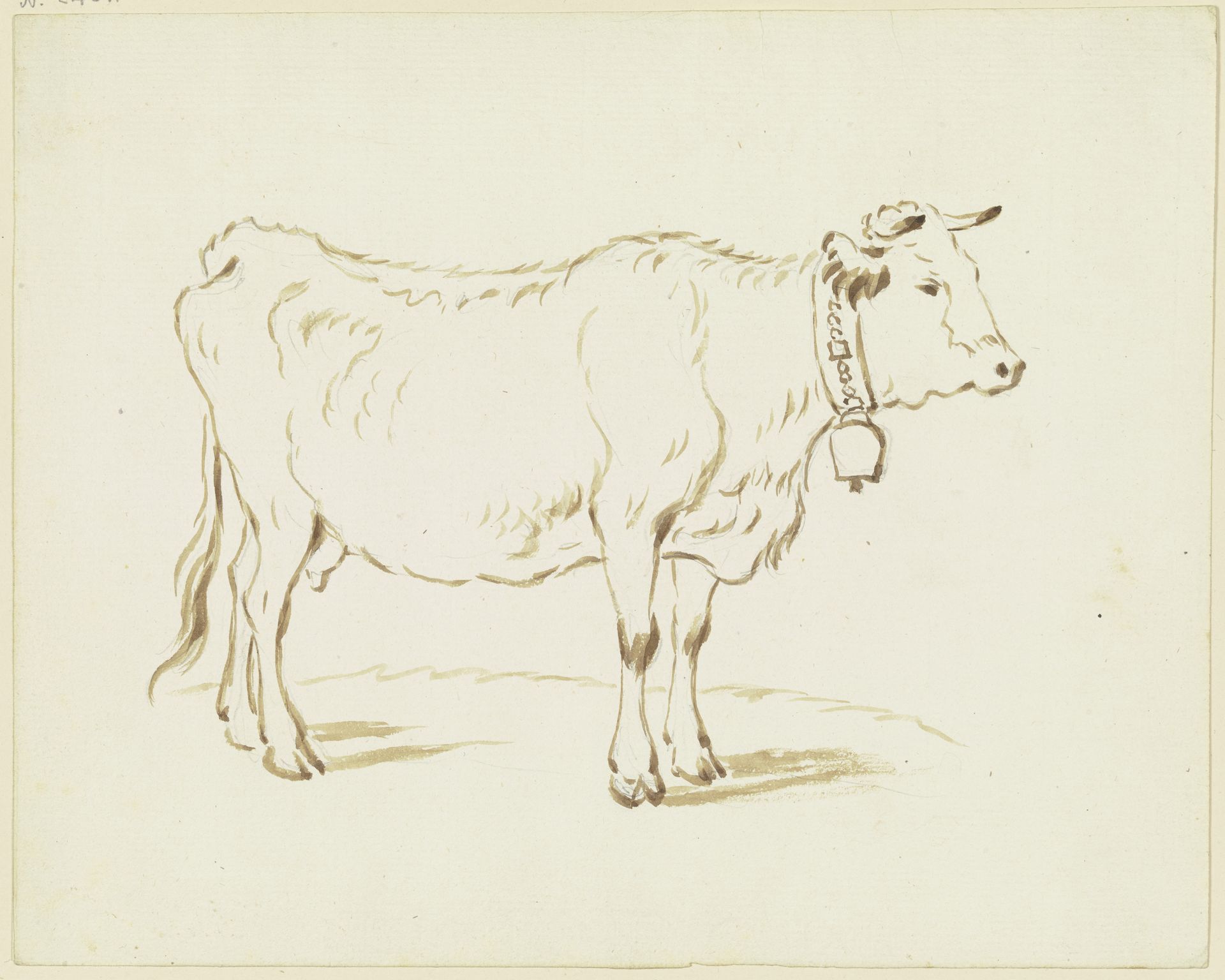 Stehende Kuh nach rechts, eine große Glocke um den Hals gebunden by Friedrich Wilhelm Hirt