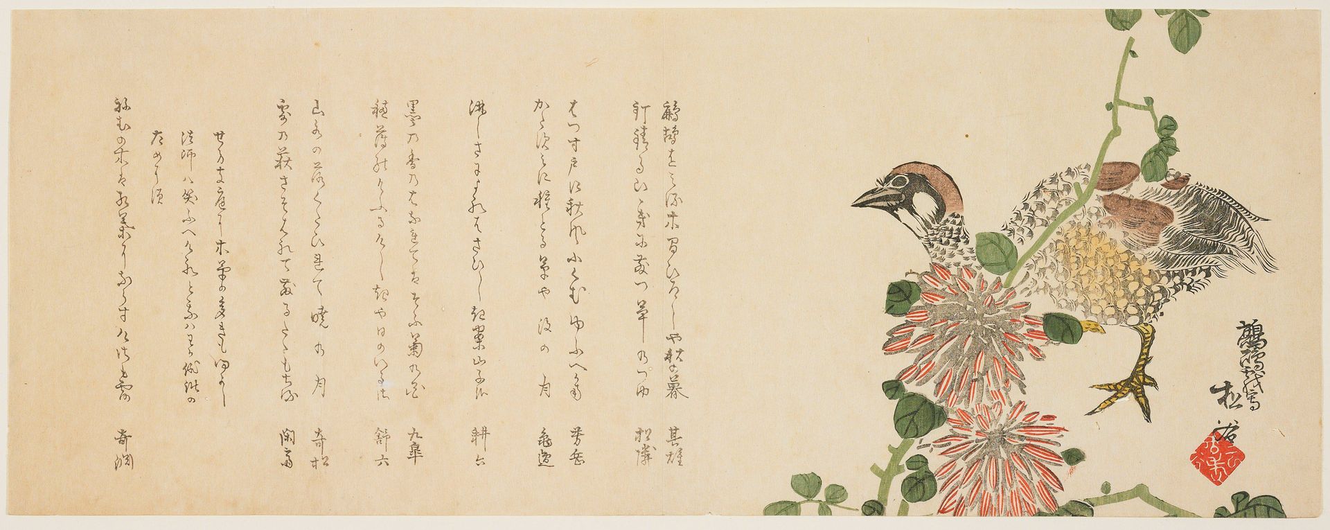Francolin and Chrusanthemum by Yoshikawa Shōkoku