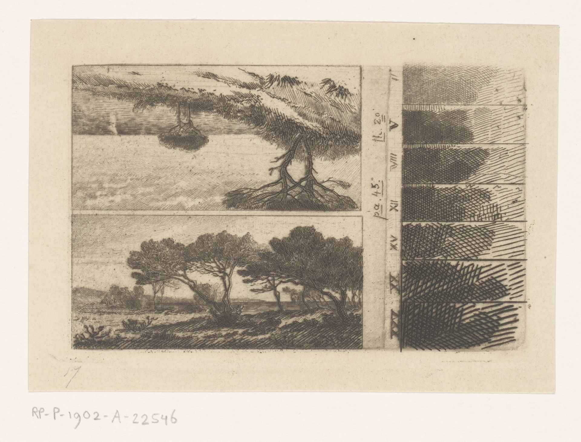 Twee voorstellingen van pijnbomen aan de kust en zeven etsproeven by Carel Nicolaas Storm van 's-Gravesande