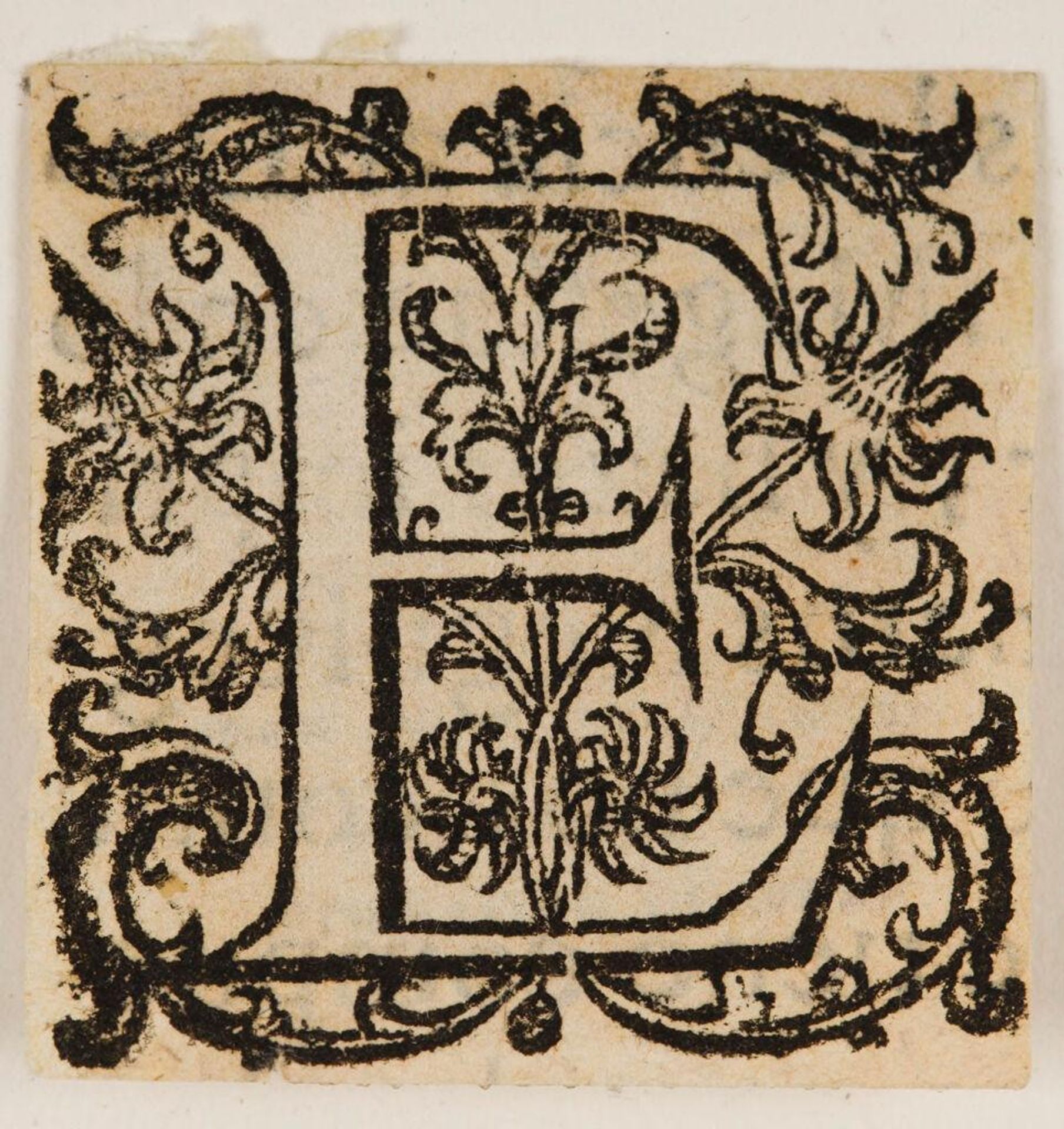 Letter E by Anonymous