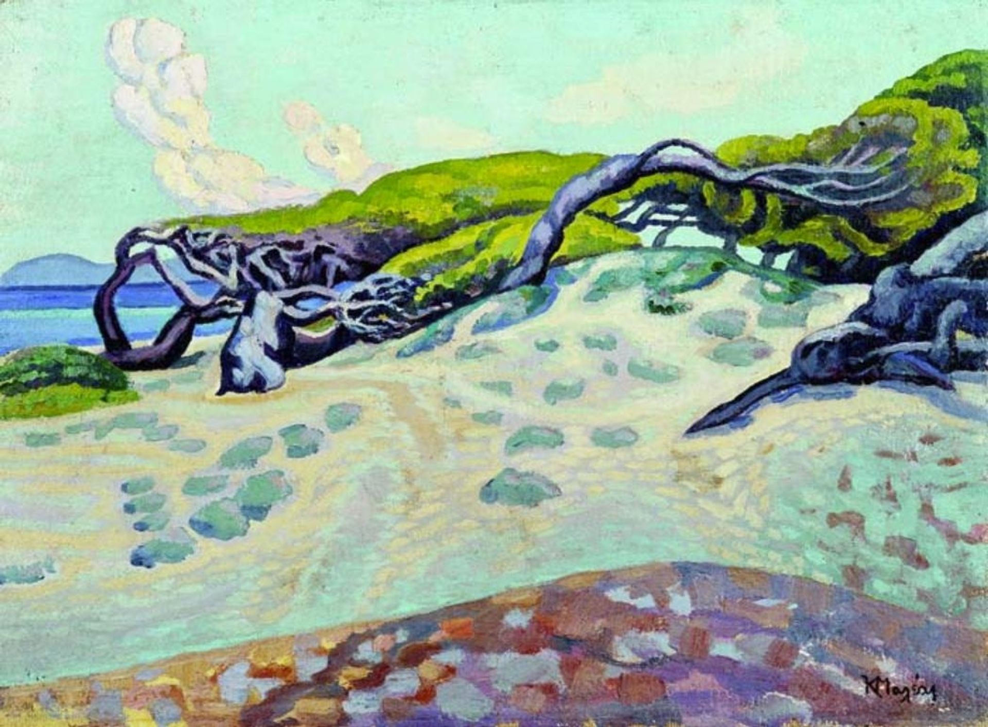 Pines at Rafina by Konstantinos Maleas
