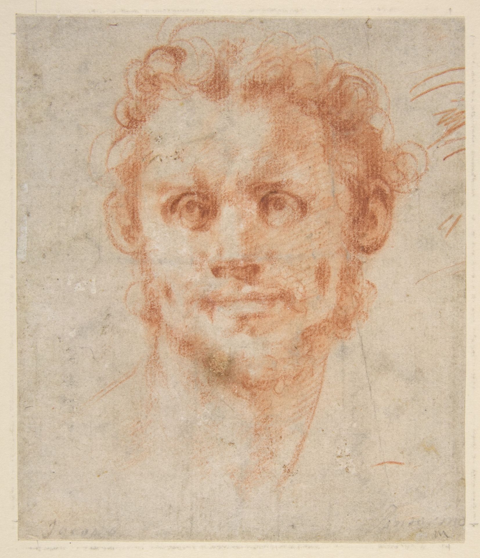 Study of a Man's Head by Jacopo Pontormo