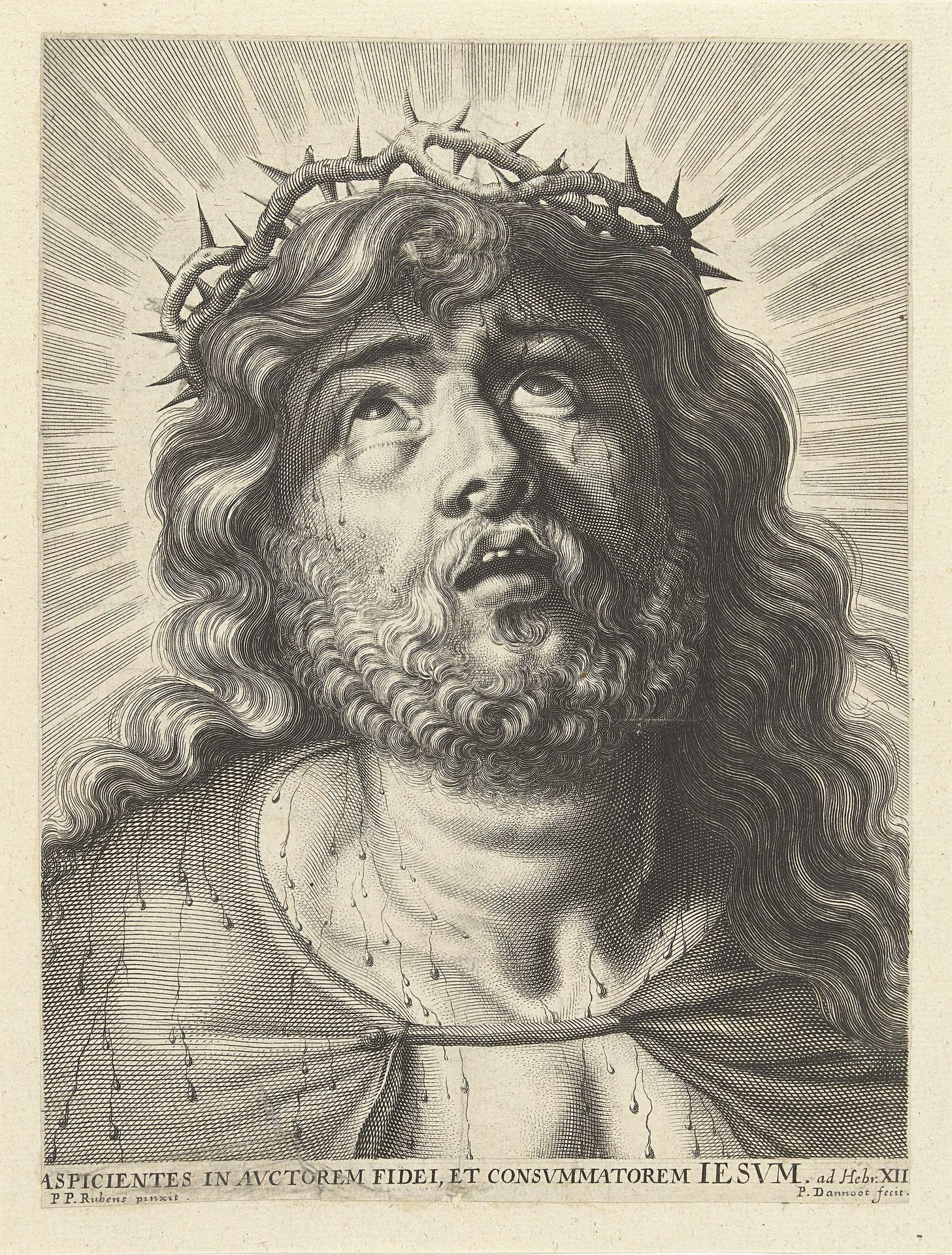 Hoofd van Christus met doornenkroon by Peter Dannoot