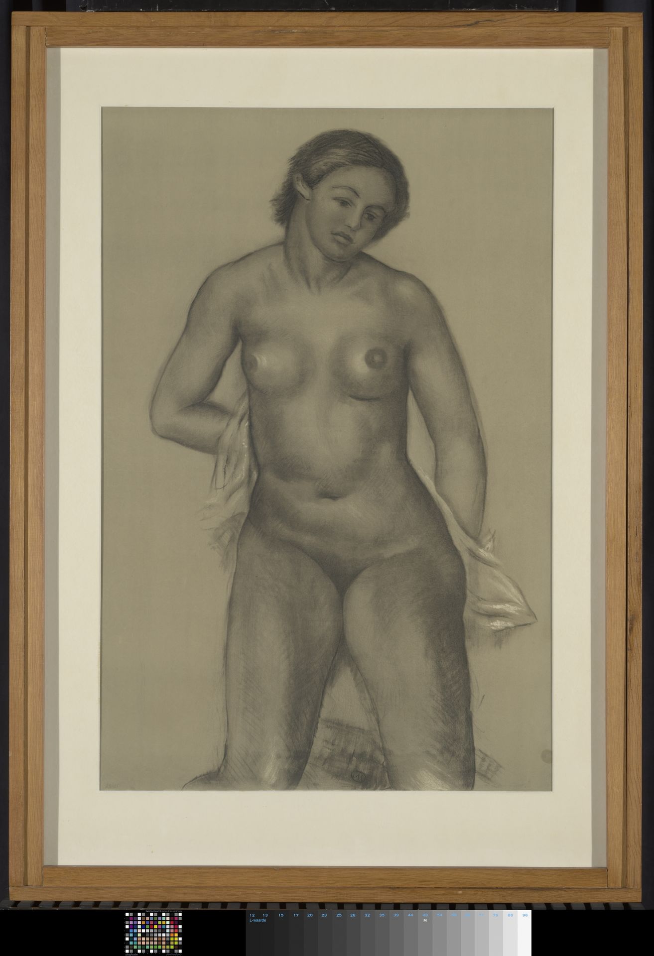 Standing Female Nude by Aristide Maillol