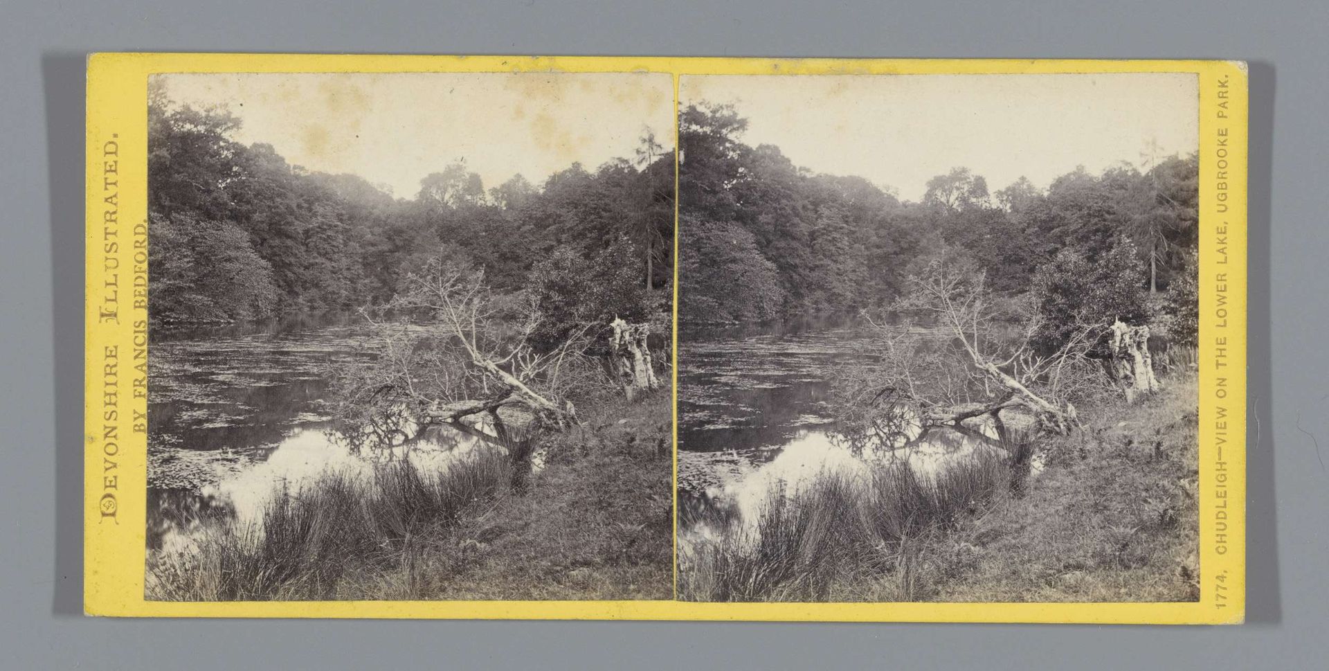 Meer in Ugbrooke Park te Chudleigh by Francis Bedford