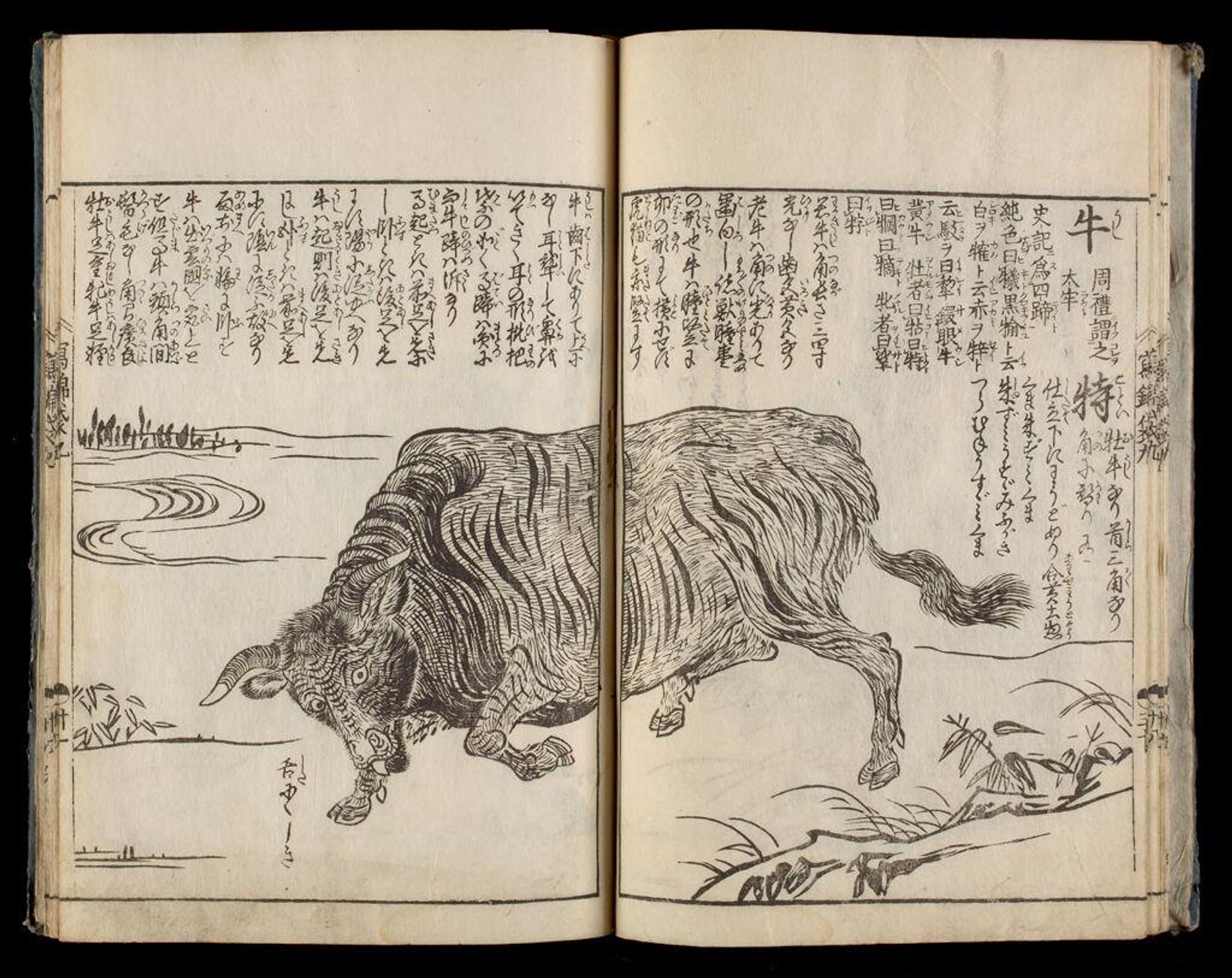 Bag of Historical Treasures and People of Japan and China (Ehon shahÅ-bukuro), 10th of 10 Volumes by Tachibana Morikuni