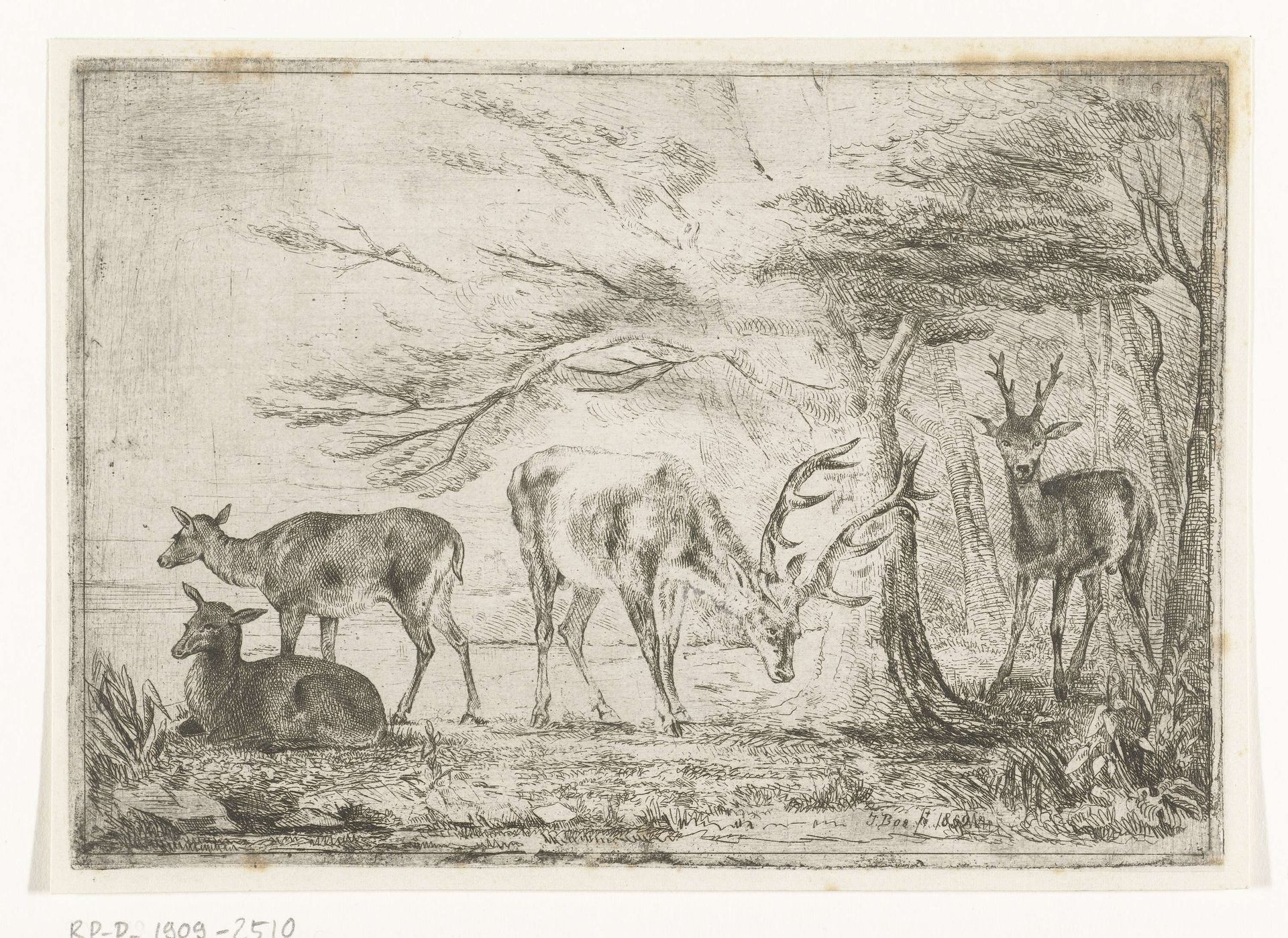 Bosrand met herten by Jan Bos Wz.