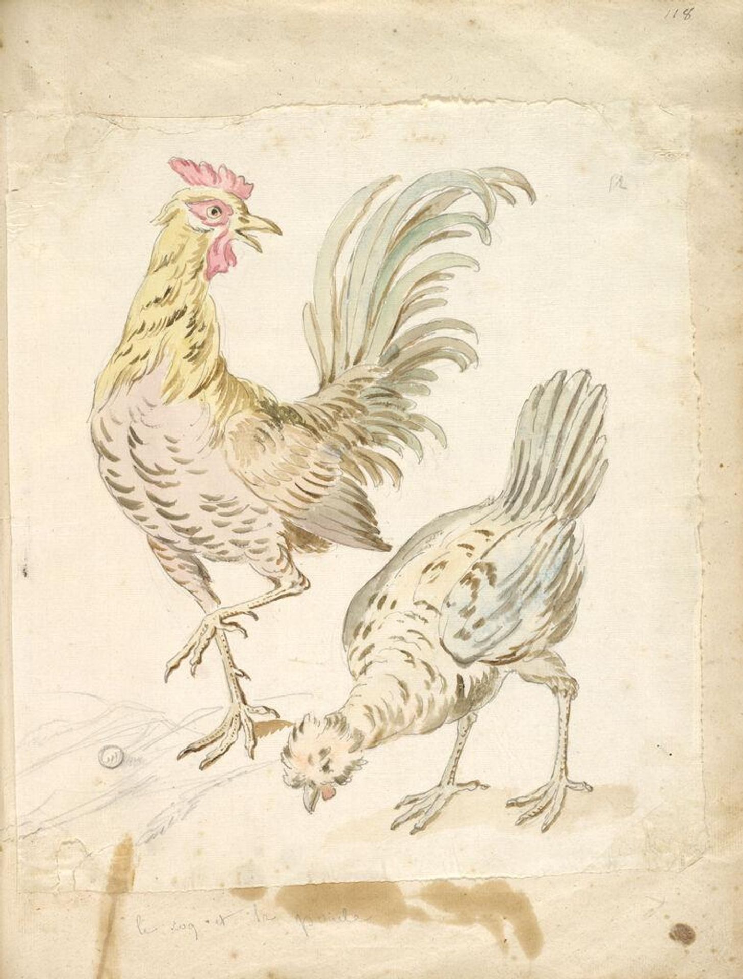 Rooster and Hen; verso: blank by Jean-Baptiste Oudry