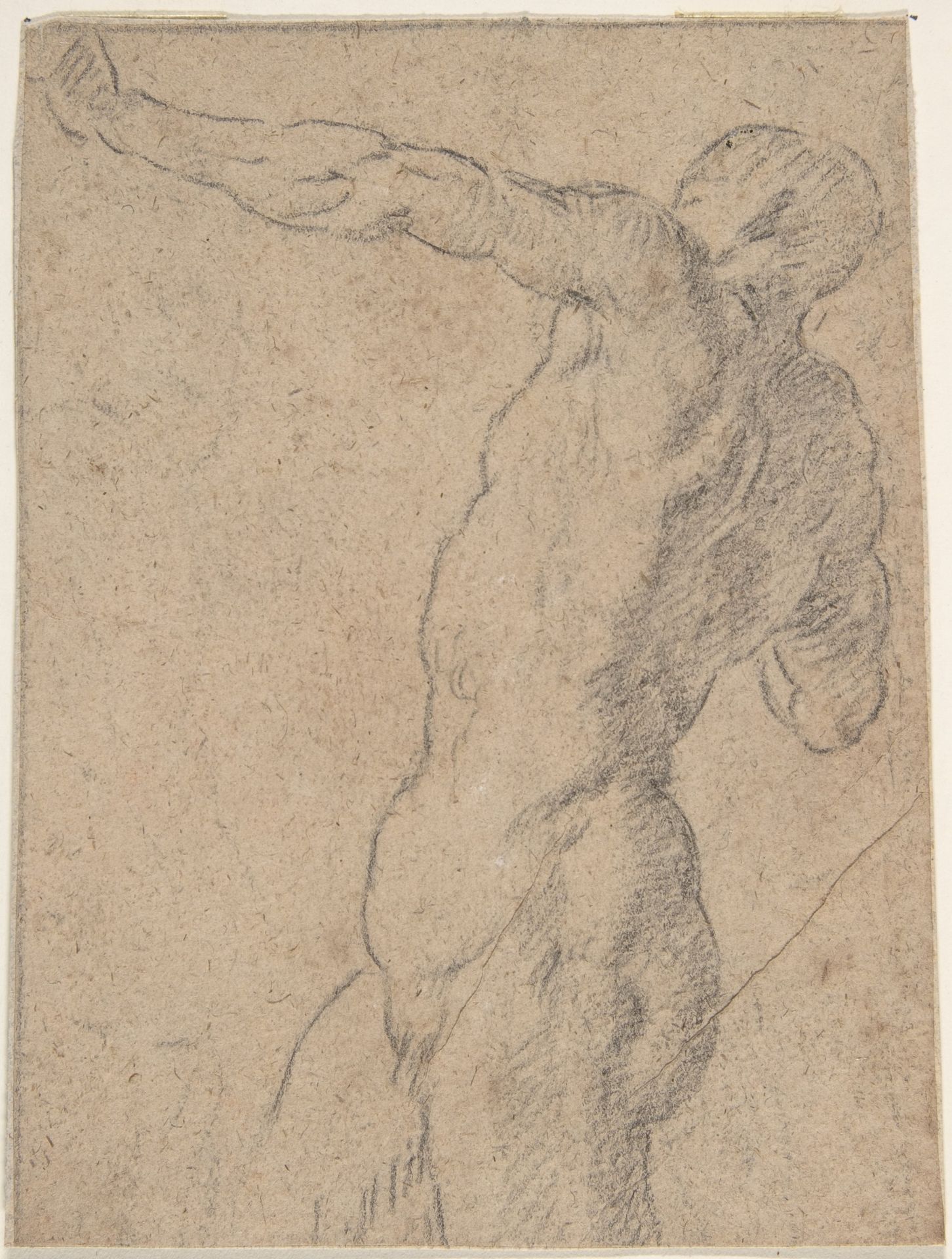 Life Study of Standing Male Nude in Three-Quarter Length by Anonymous
