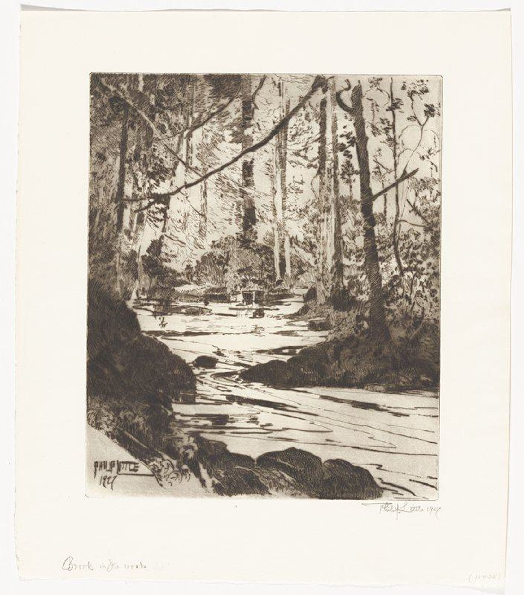 Brook in the Woods by Philip Little