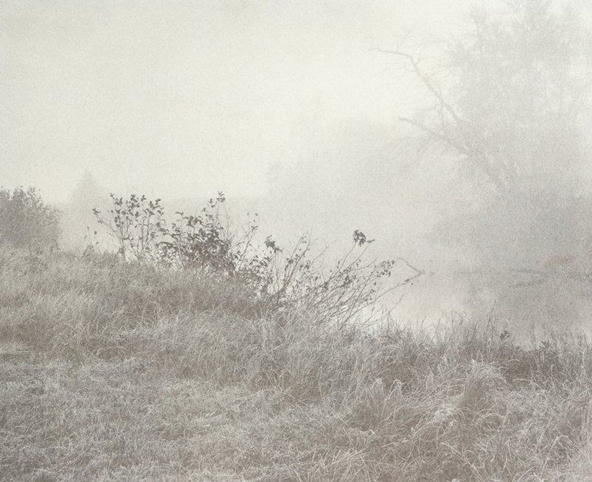 Fog and Frost by William B. Post