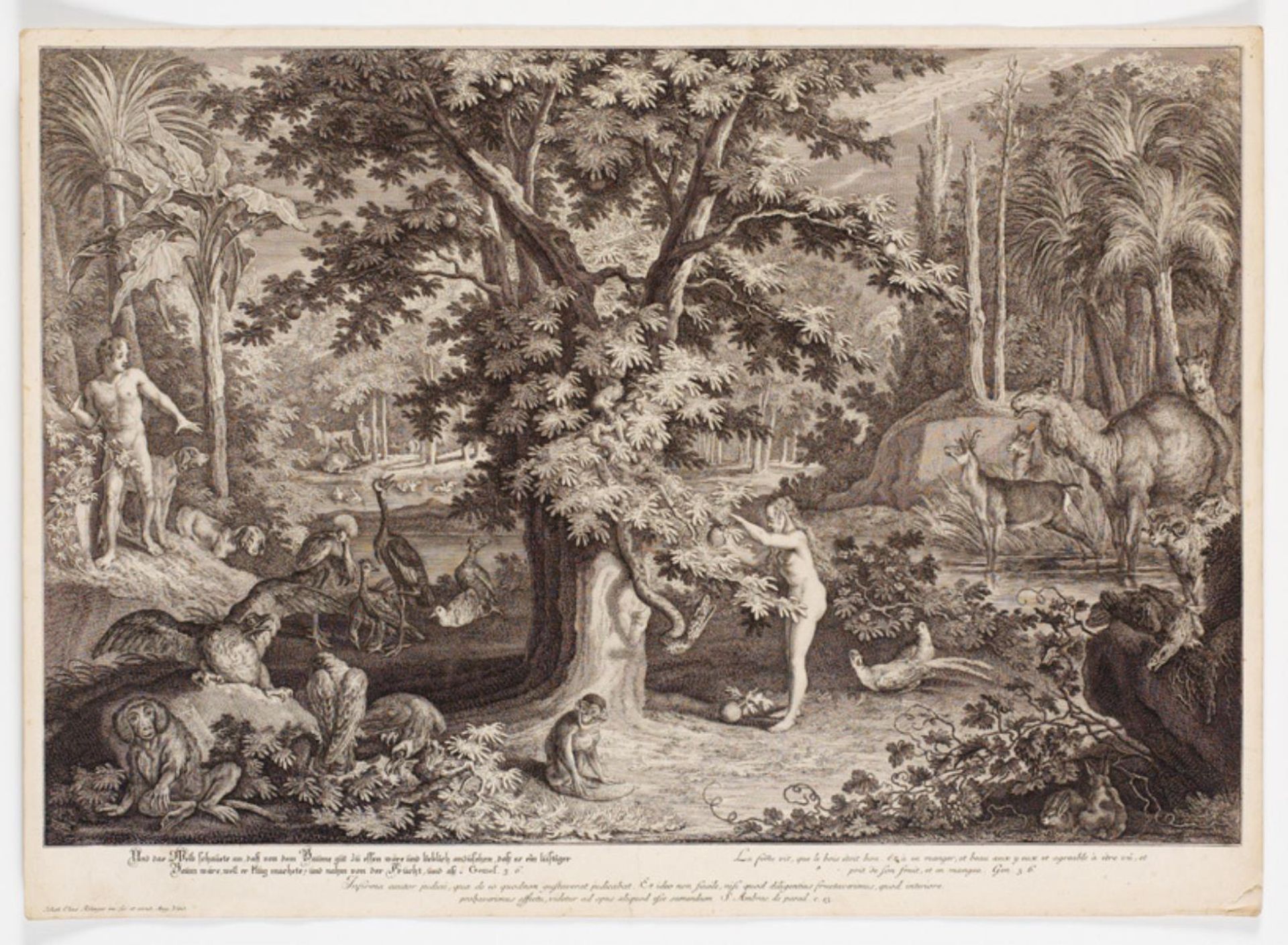 Eva plukker æblet på kundskabens træ by Johann Elias Ridinger