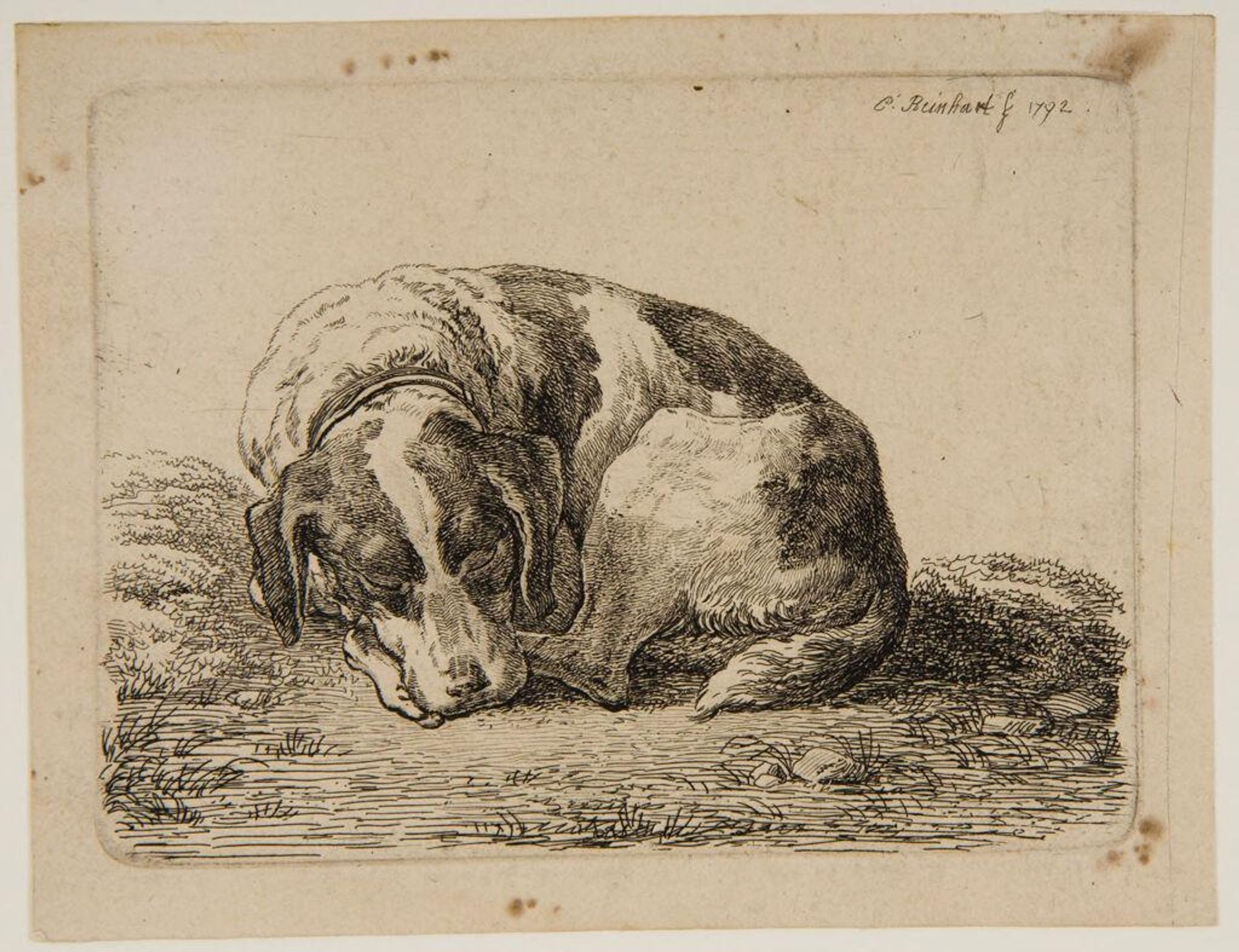 Dog Sleeping by Johann Christian Reinhart