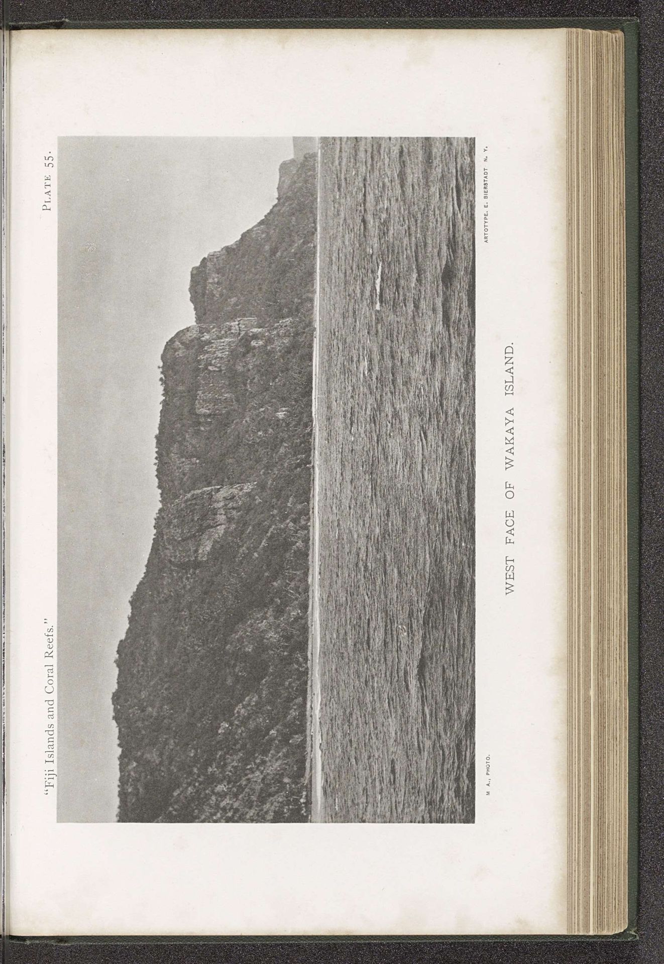 Gezicht op de westkant van Wakaya by Maximilian Agassiz
