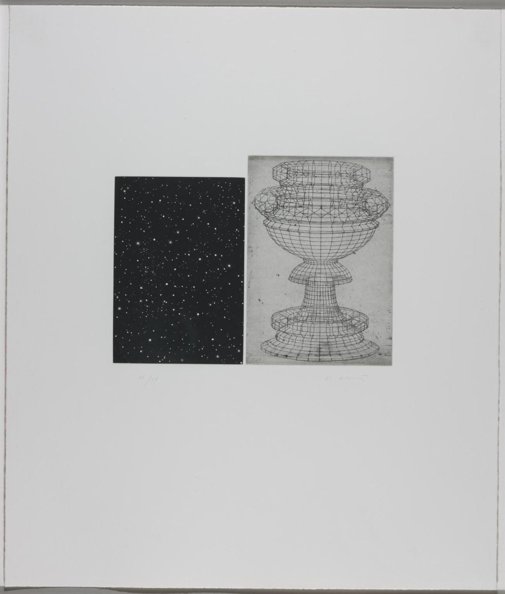 Constellation - Uccello by Vija Celmins