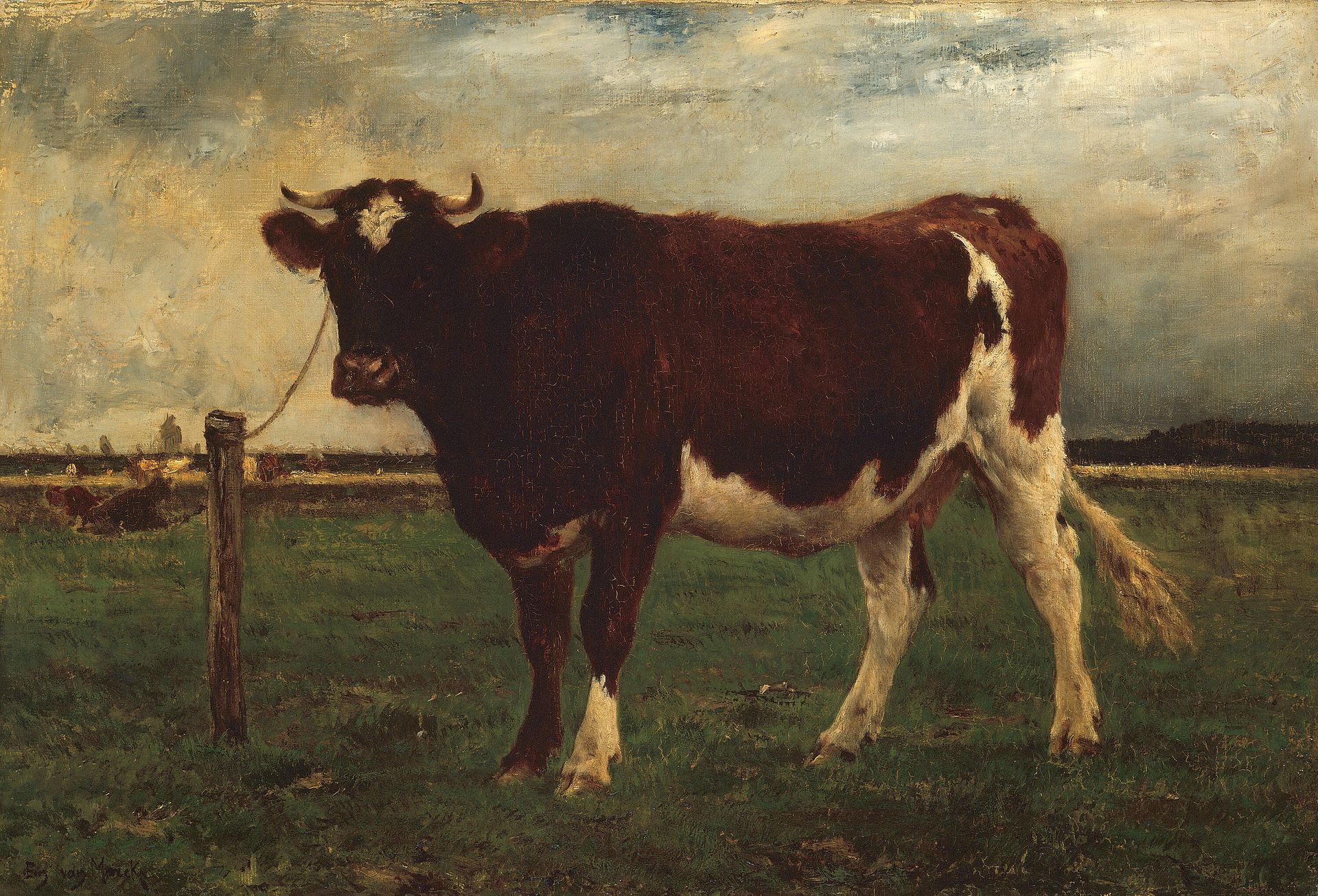 Study of a Cow by Emile van Marcke