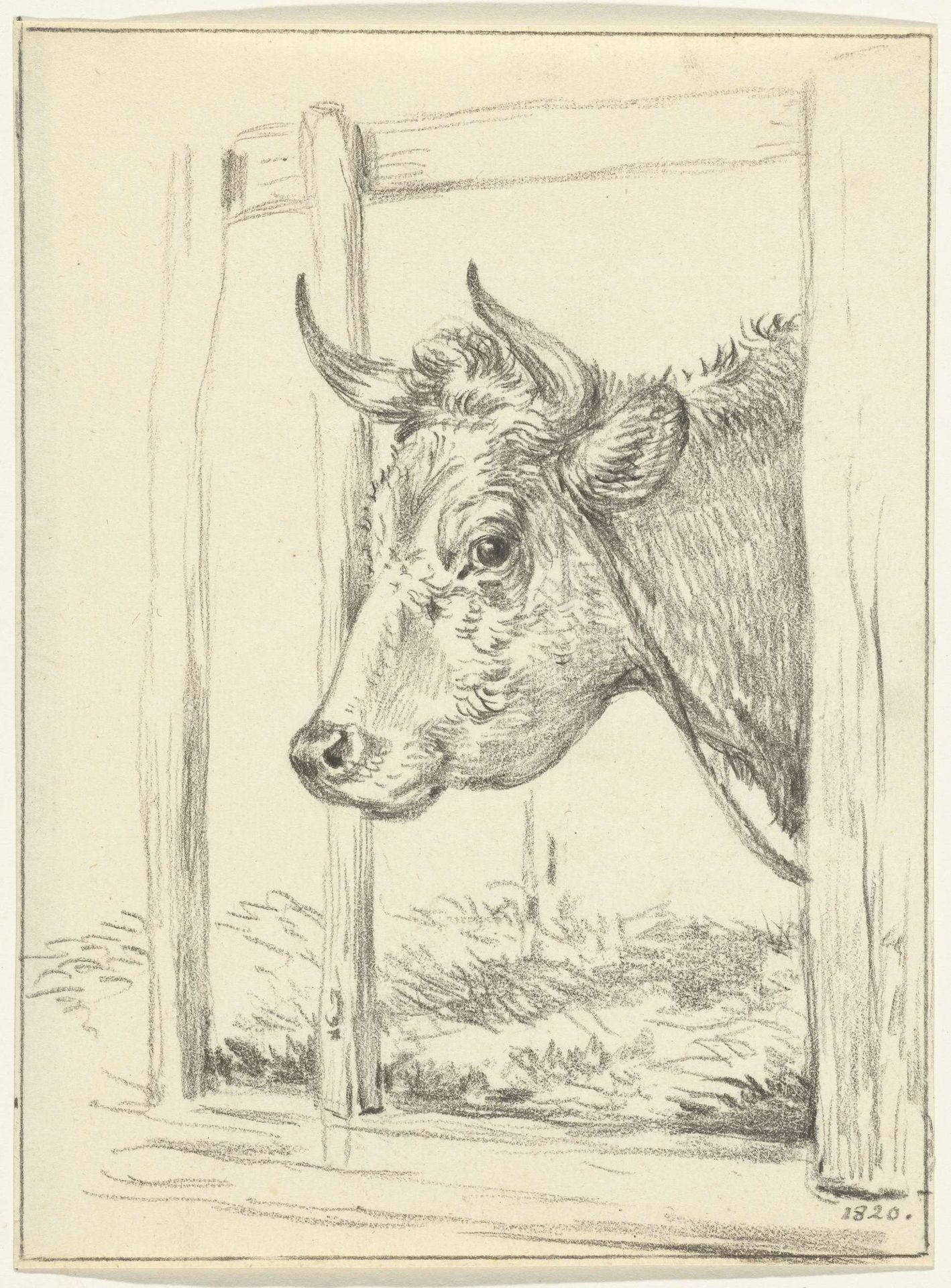 Kop van een koe, in een stal, naar links by Jean Bernard