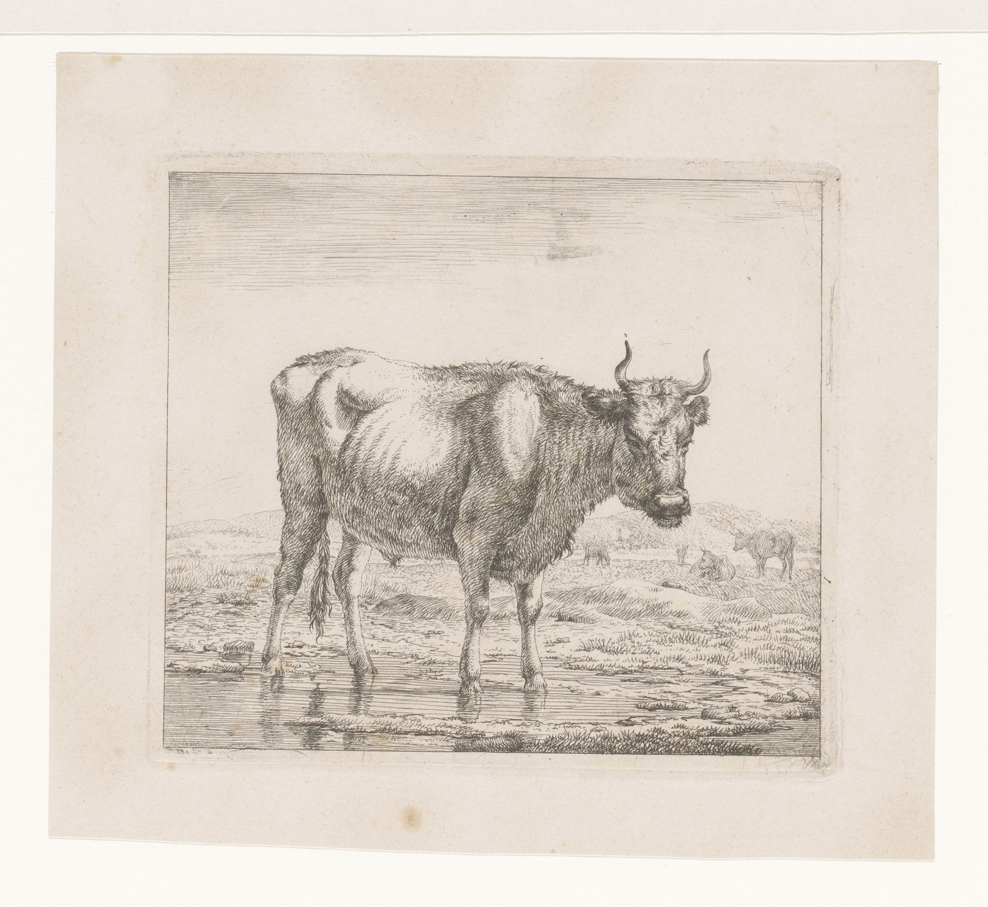 Landschap met stier by Eugène Verboeckhoven