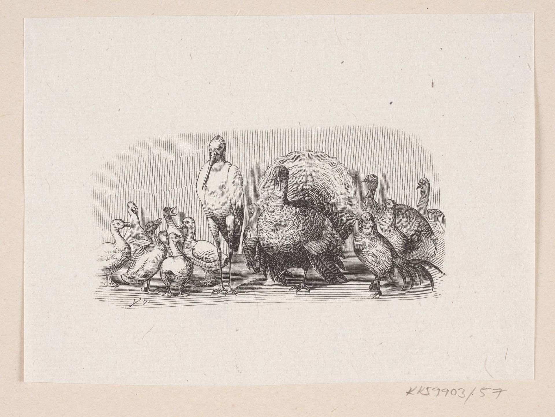 Illustration til "Ole Lukøie" i H.C. Andersen, "Eventyr og Historier", Bind 1 by H.P. Hansen