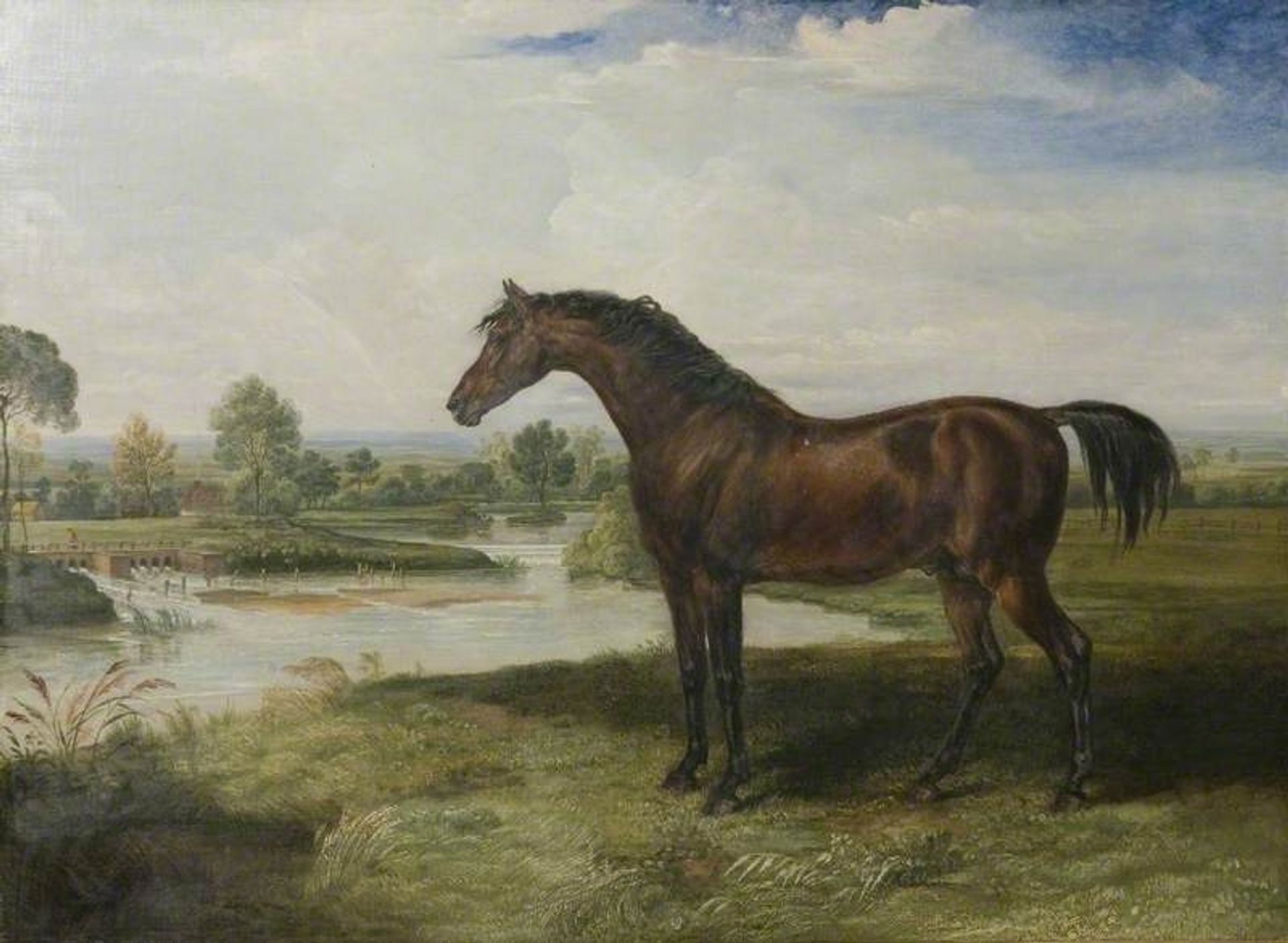 'Haphazard' by James Ward