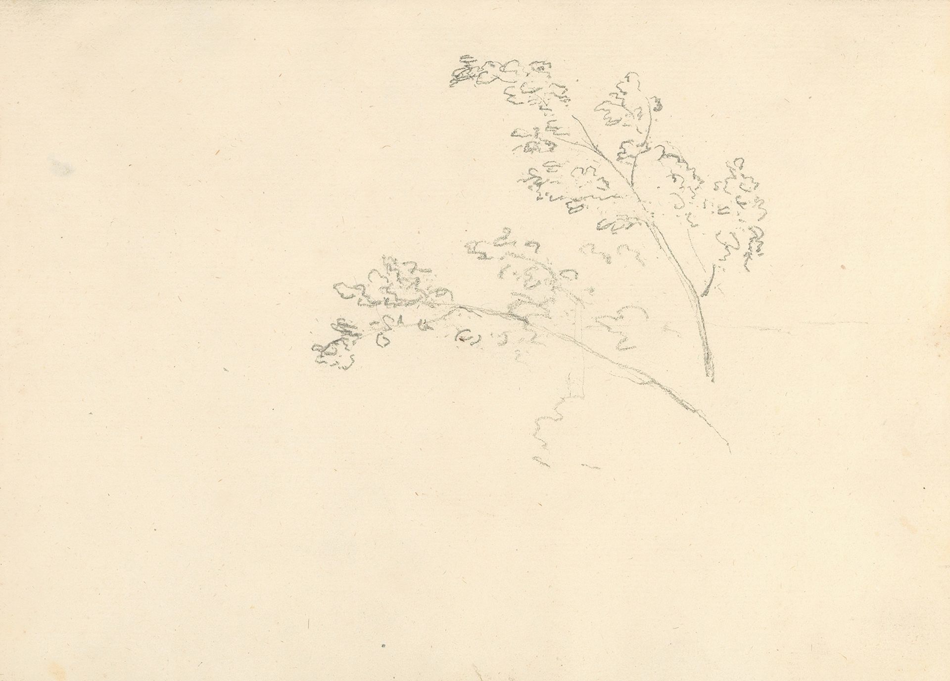 Tree Branches by Joseph Wright of Derby