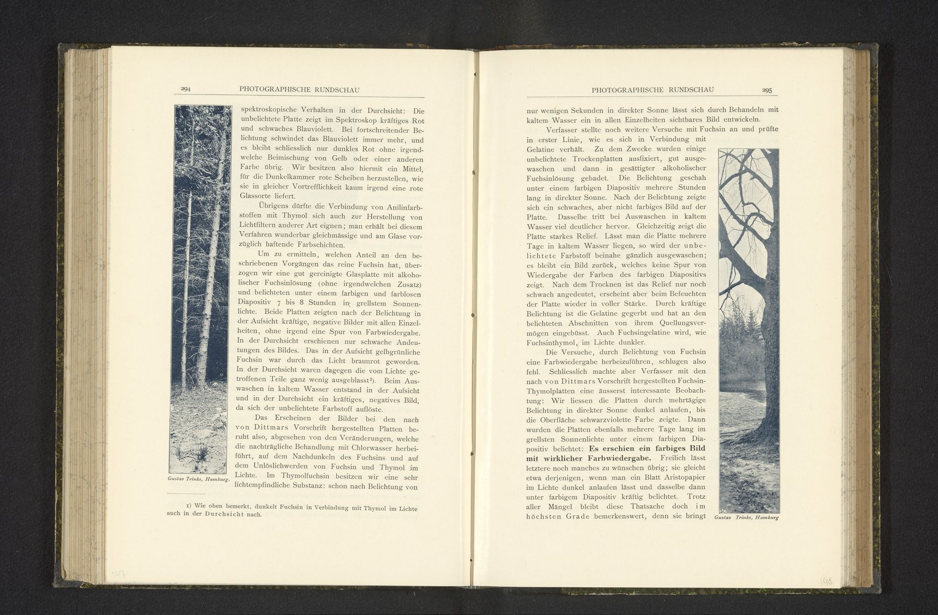 Gezicht op bomen by Gustav Eduard Bernhard Trinks