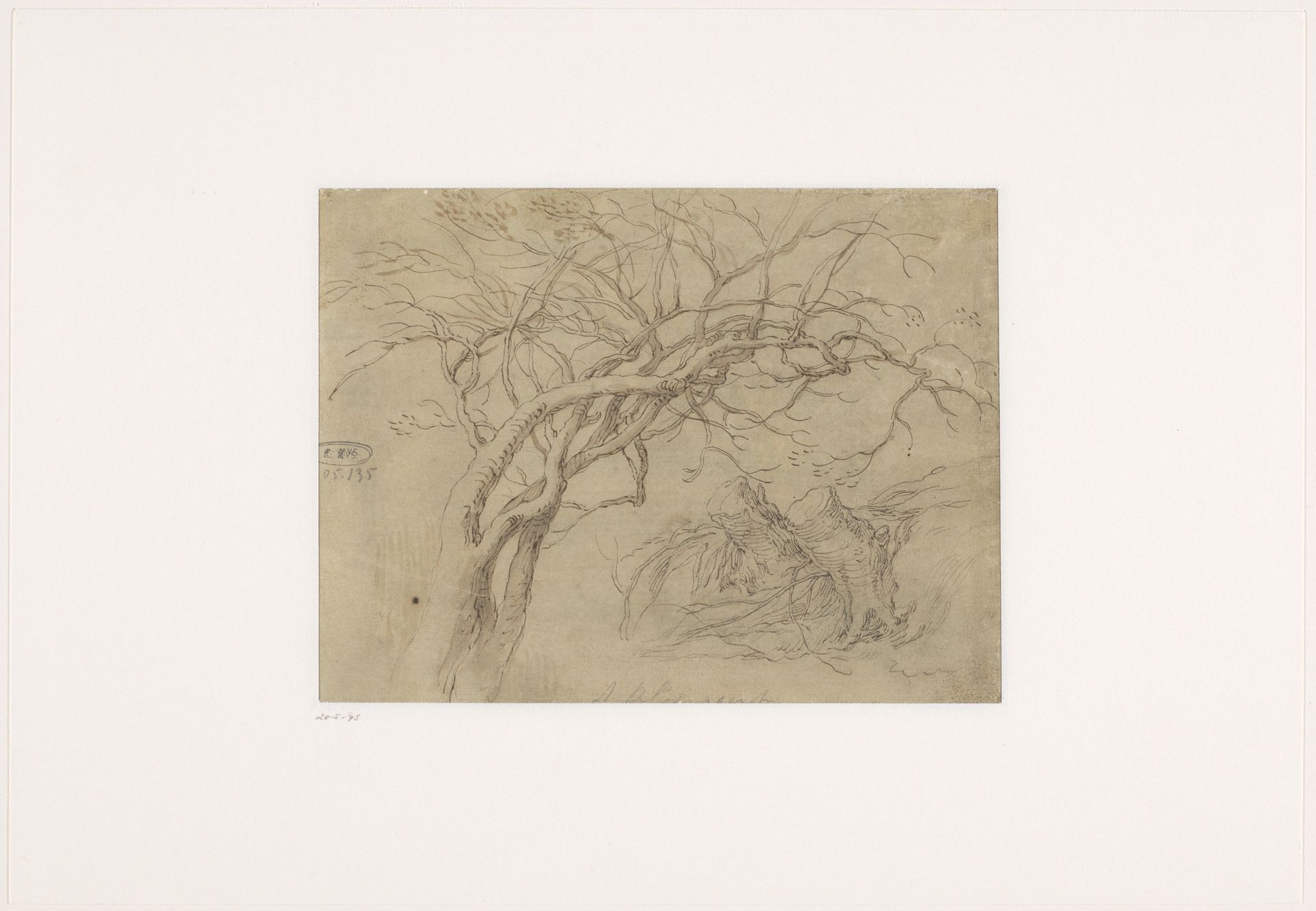 Studies van boomtakken en boomstronken by Abraham Bloemaert