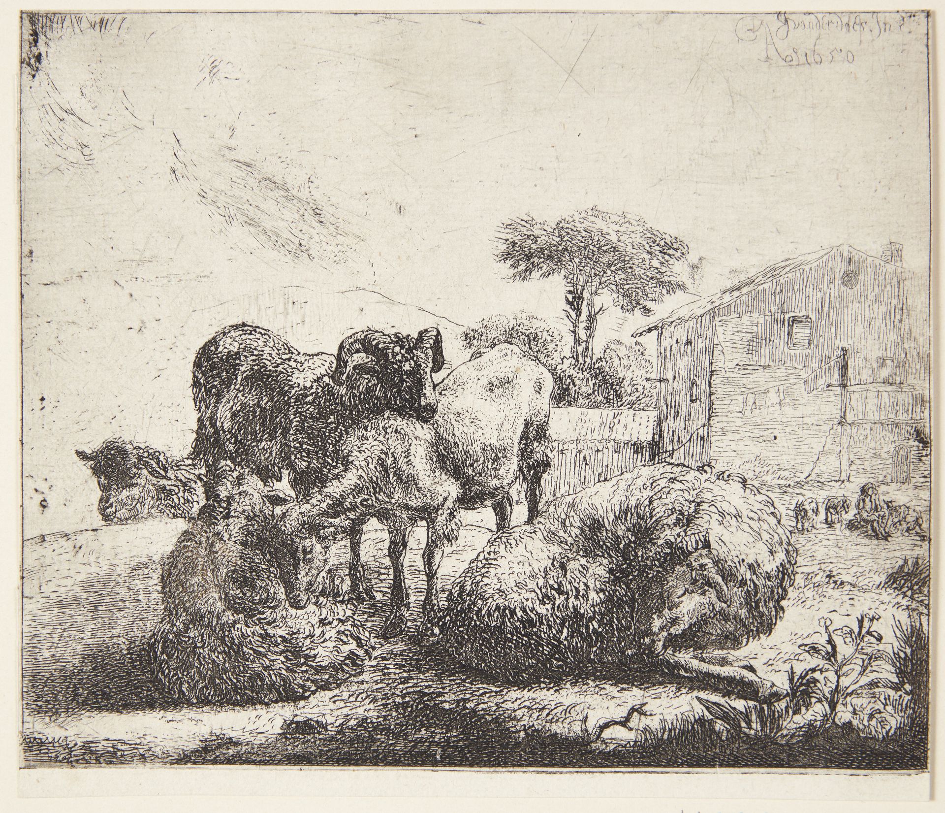 Fem får by Jacob van der Does d.Æ.