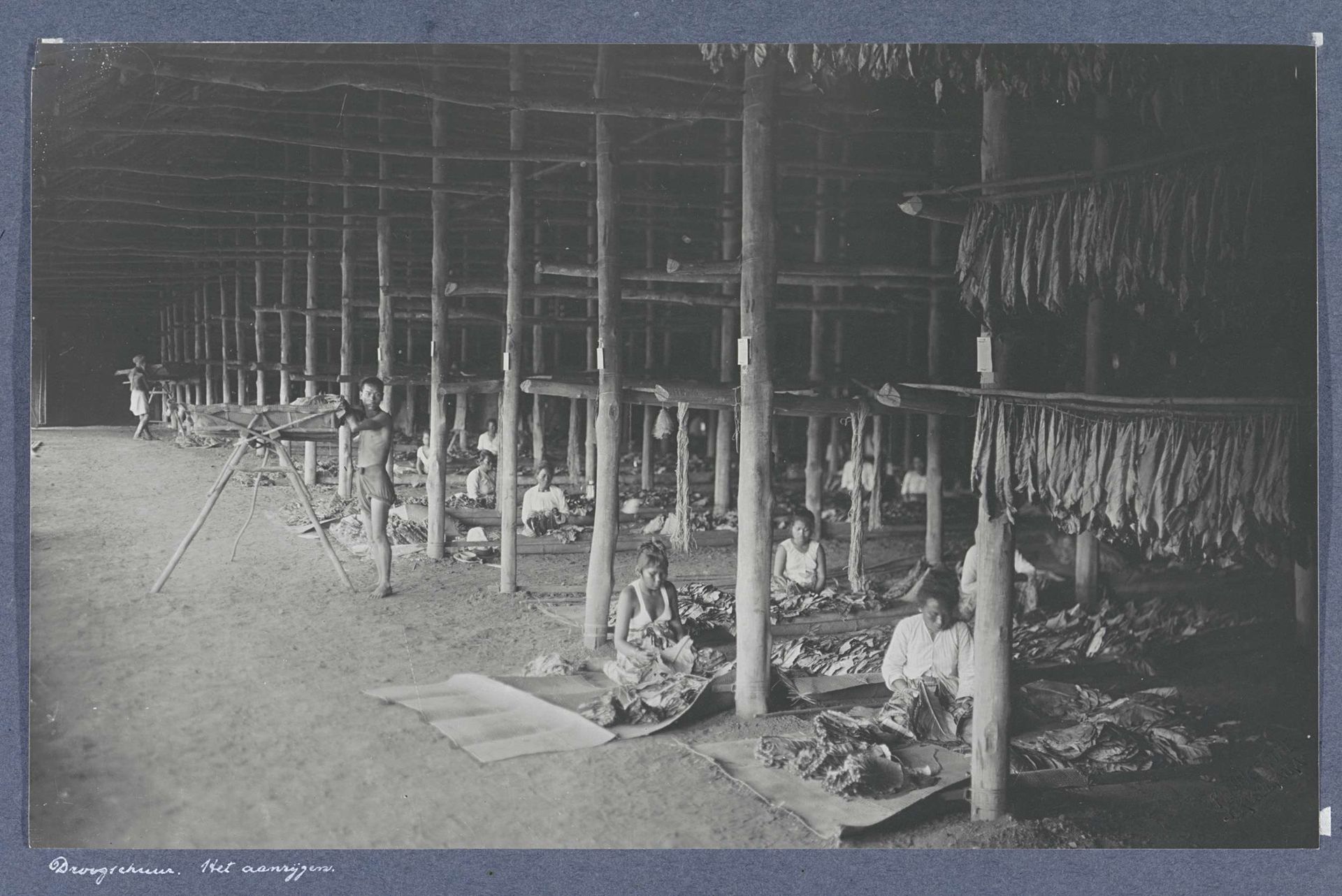 Vrouwen bezig met aanrijgen van tabaksbladeren in een droogschuur op Sumatra by Carl J. Kleingrothe
