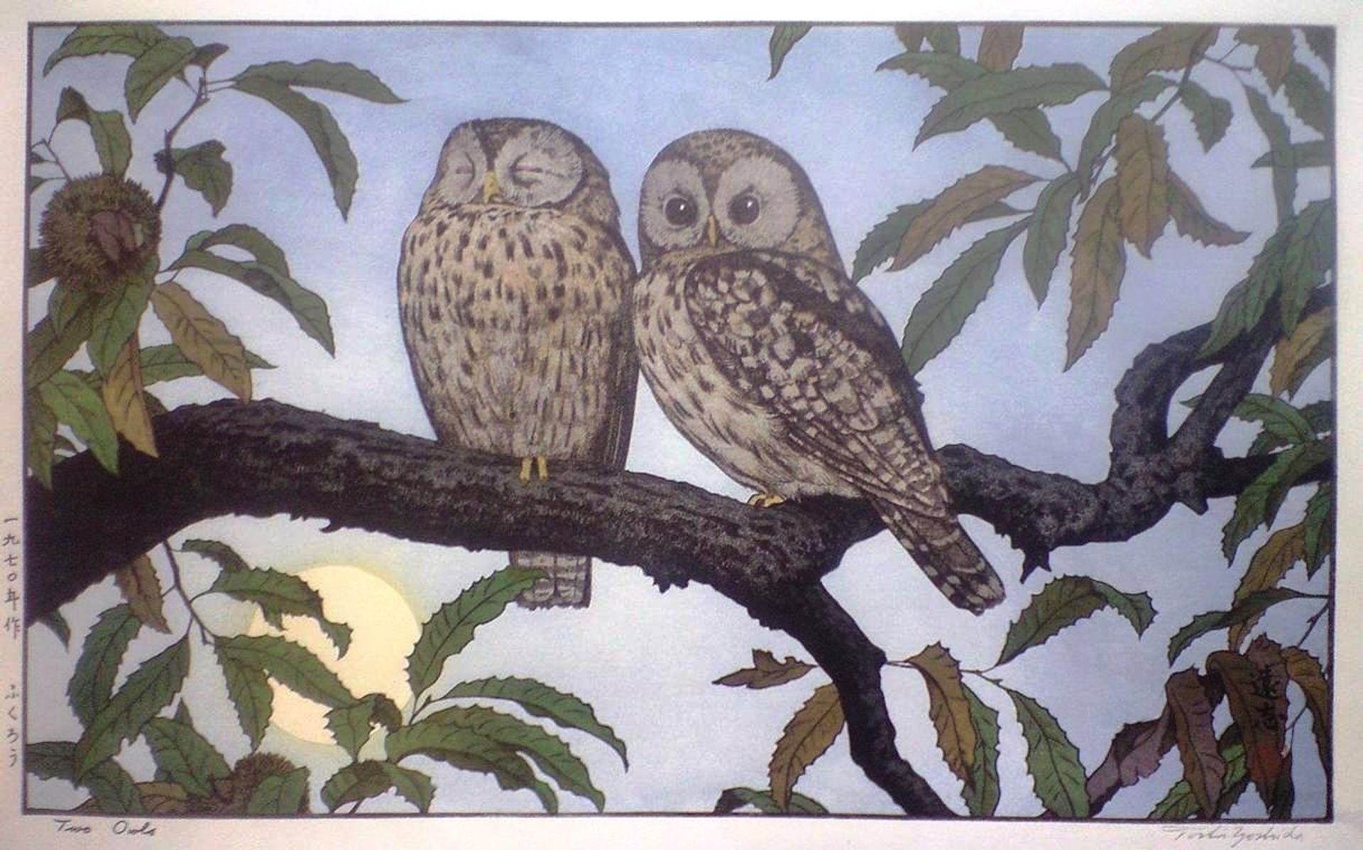 Two Owls by Toshi Yoshida
