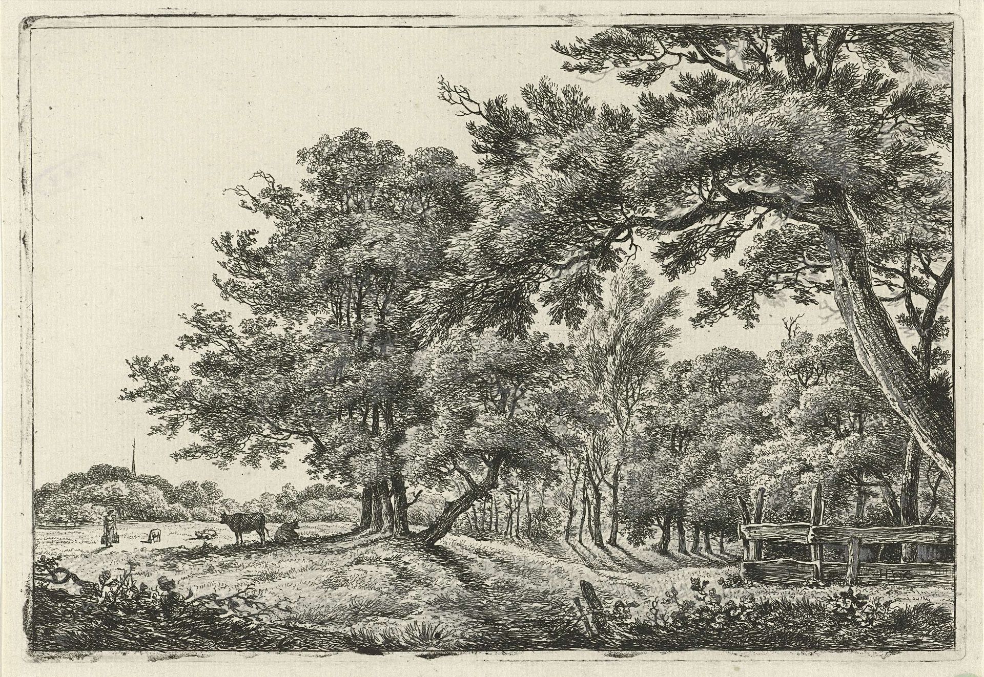 Landschap met twee koeien in de schaduw by Hermanus Fock