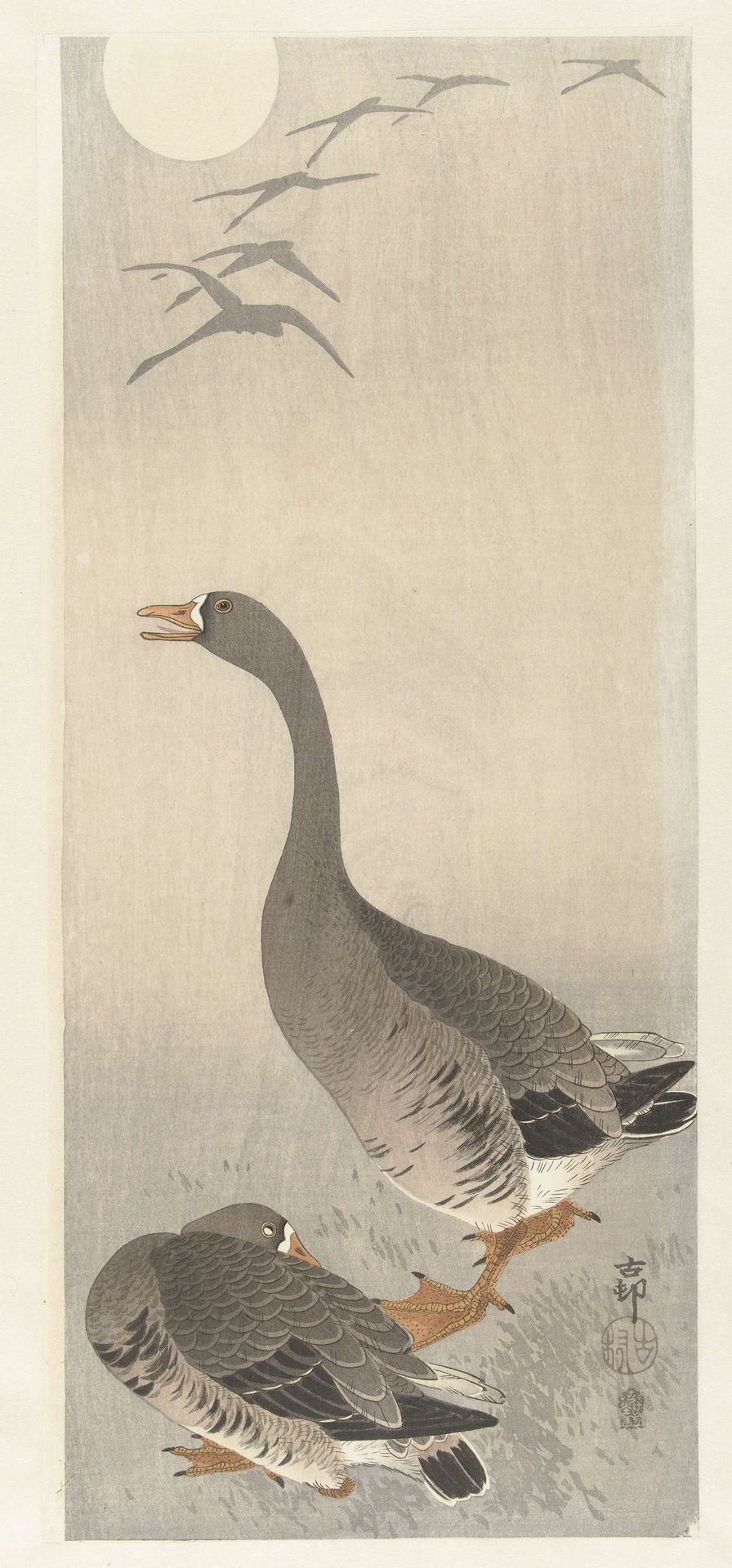 Twee ganzen by Ohara Koson
