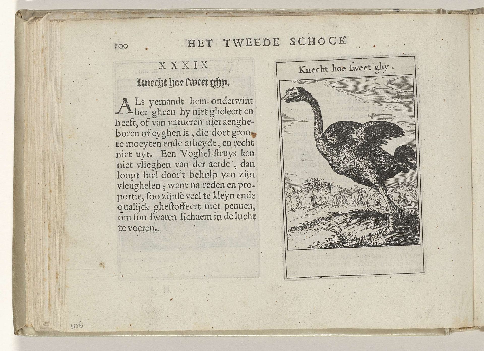 XXXIX Knecht hoe sweet ghy by Roemer Visscher
