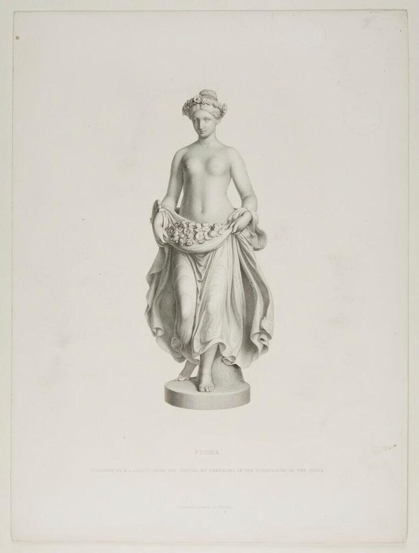 Flora by Richard Austin