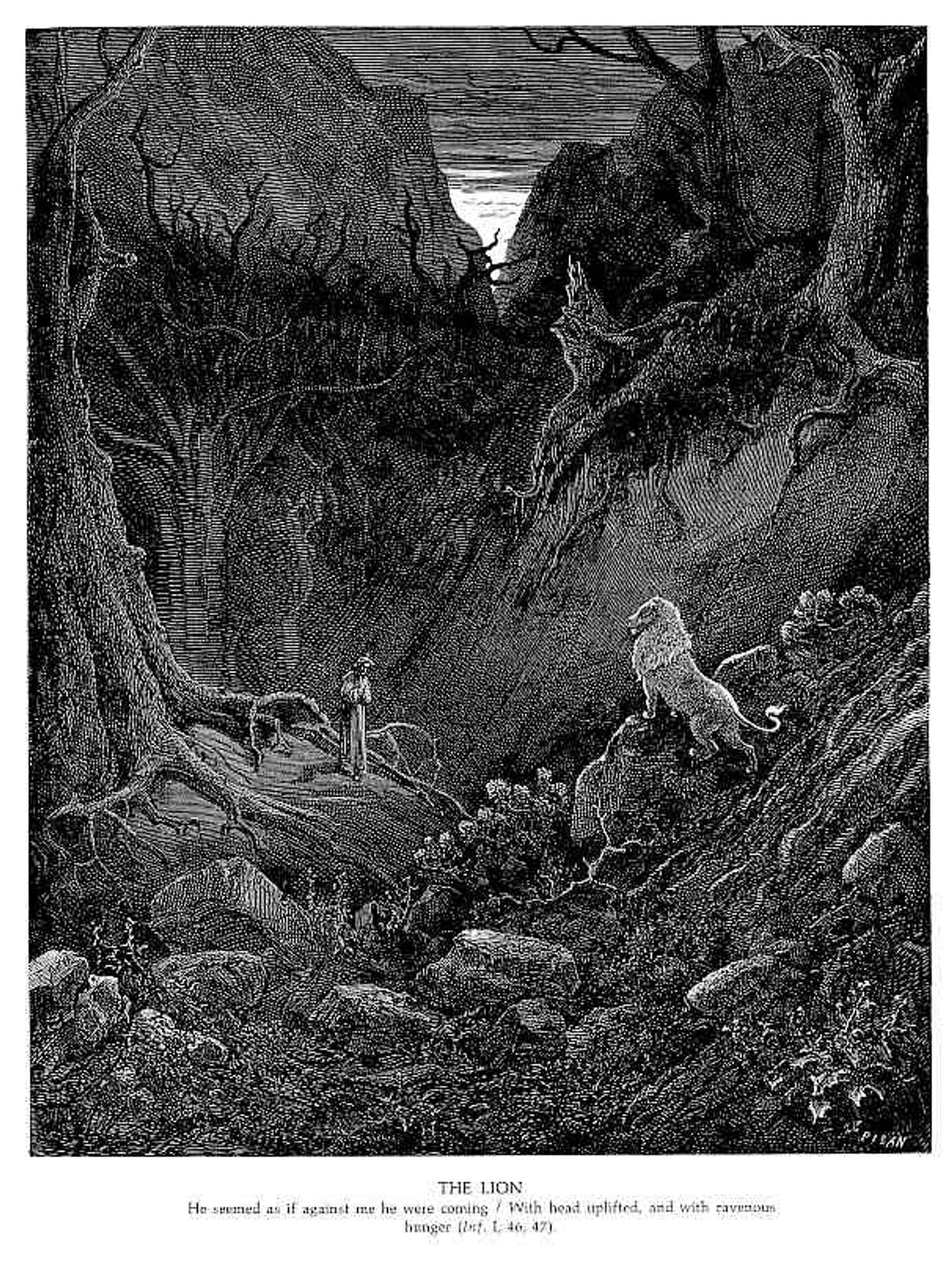 The Lion by Gustave Dore